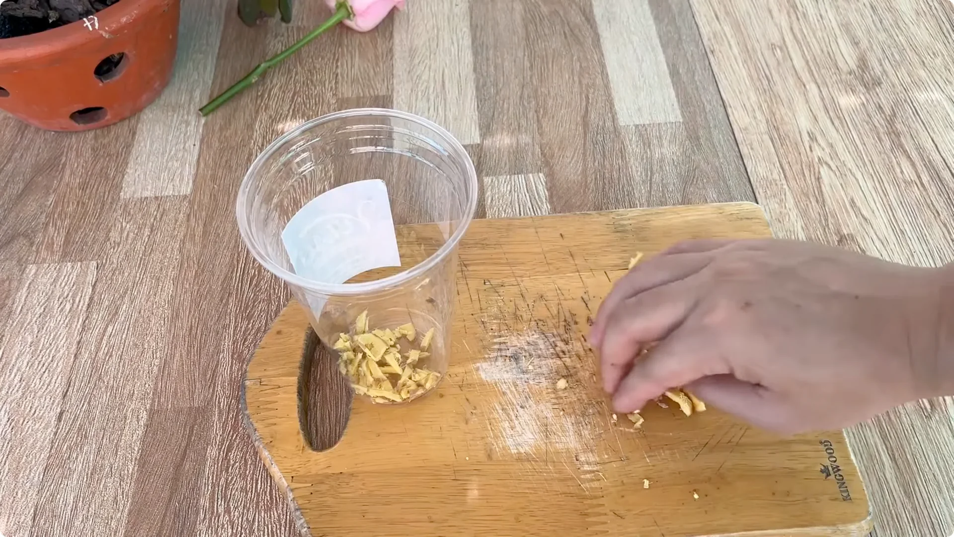 How One Spoon Helped a Rose Branch Root and Bloom Continuously screenshot 5