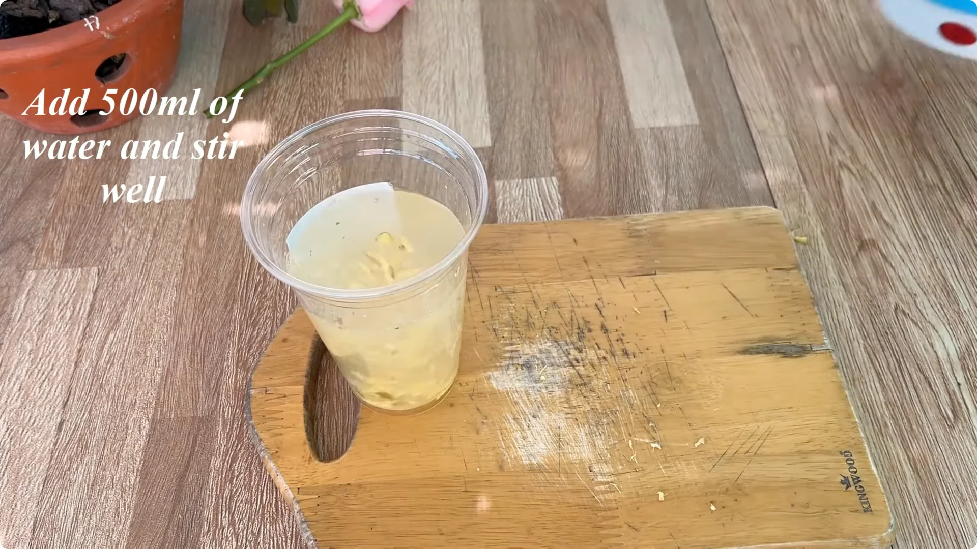 How One Spoon Helped a Rose Branch Root and Bloom Continuously screenshot 6