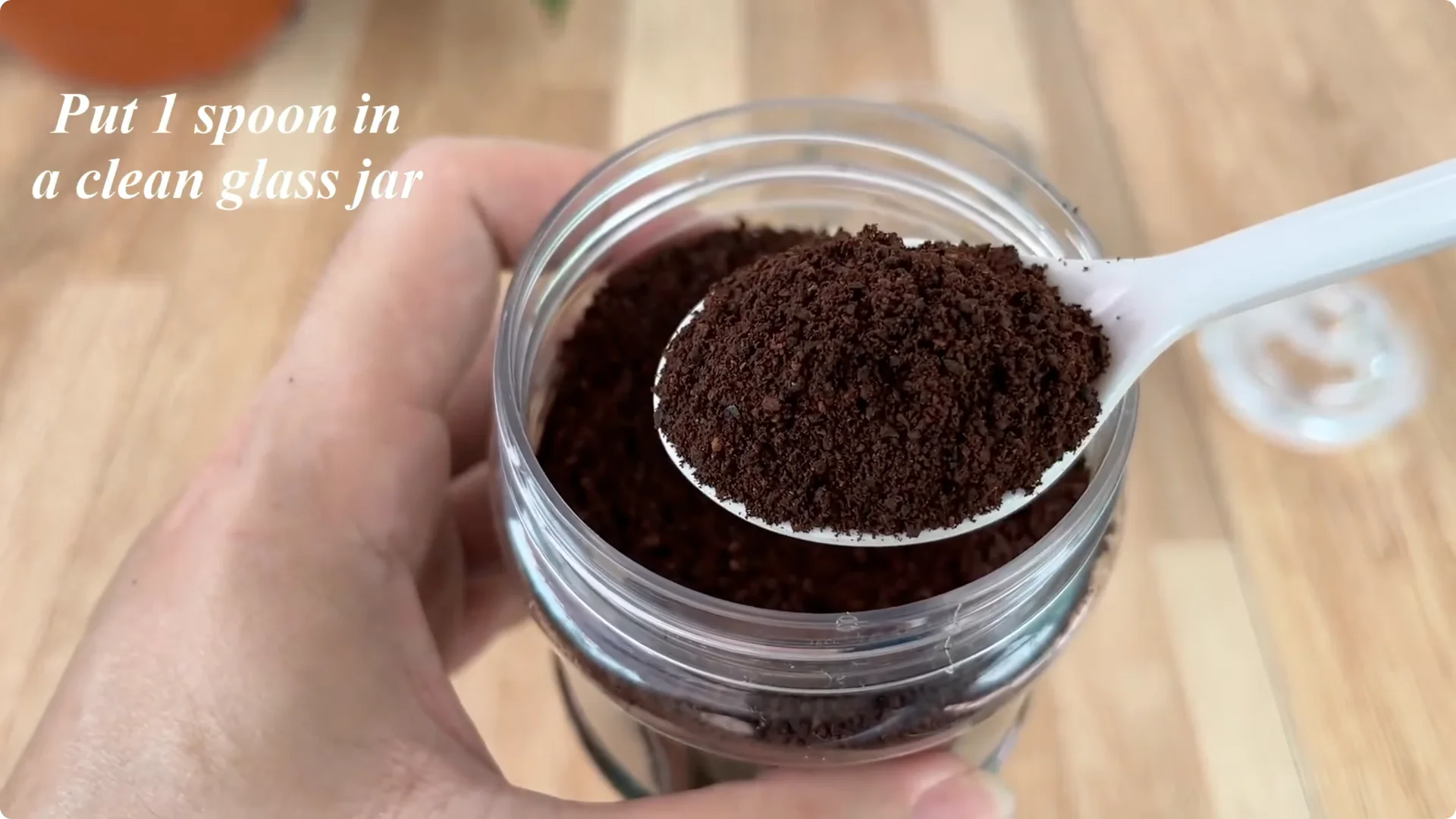 How One Spoon Helped This Rose Branch Root and Bloom screenshot 1