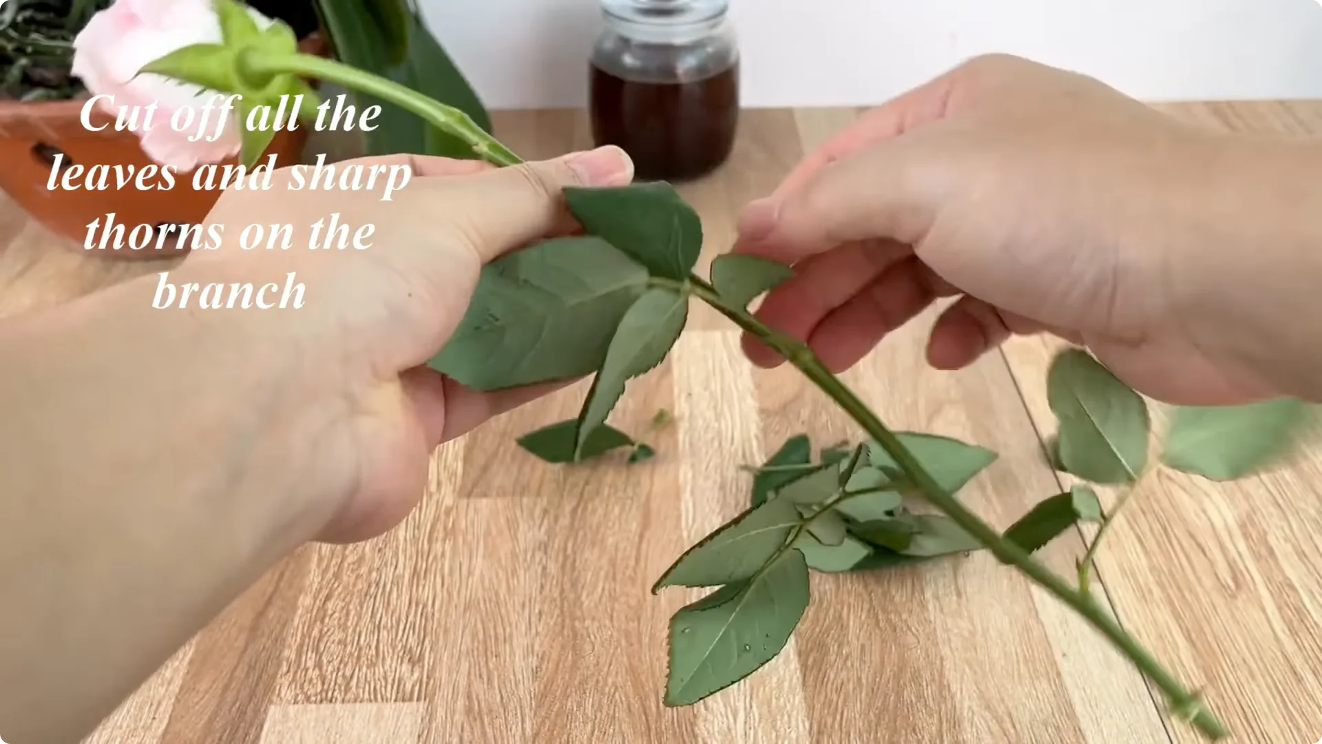 How One Spoon Helped This Rose Branch Root and Bloom screenshot 2