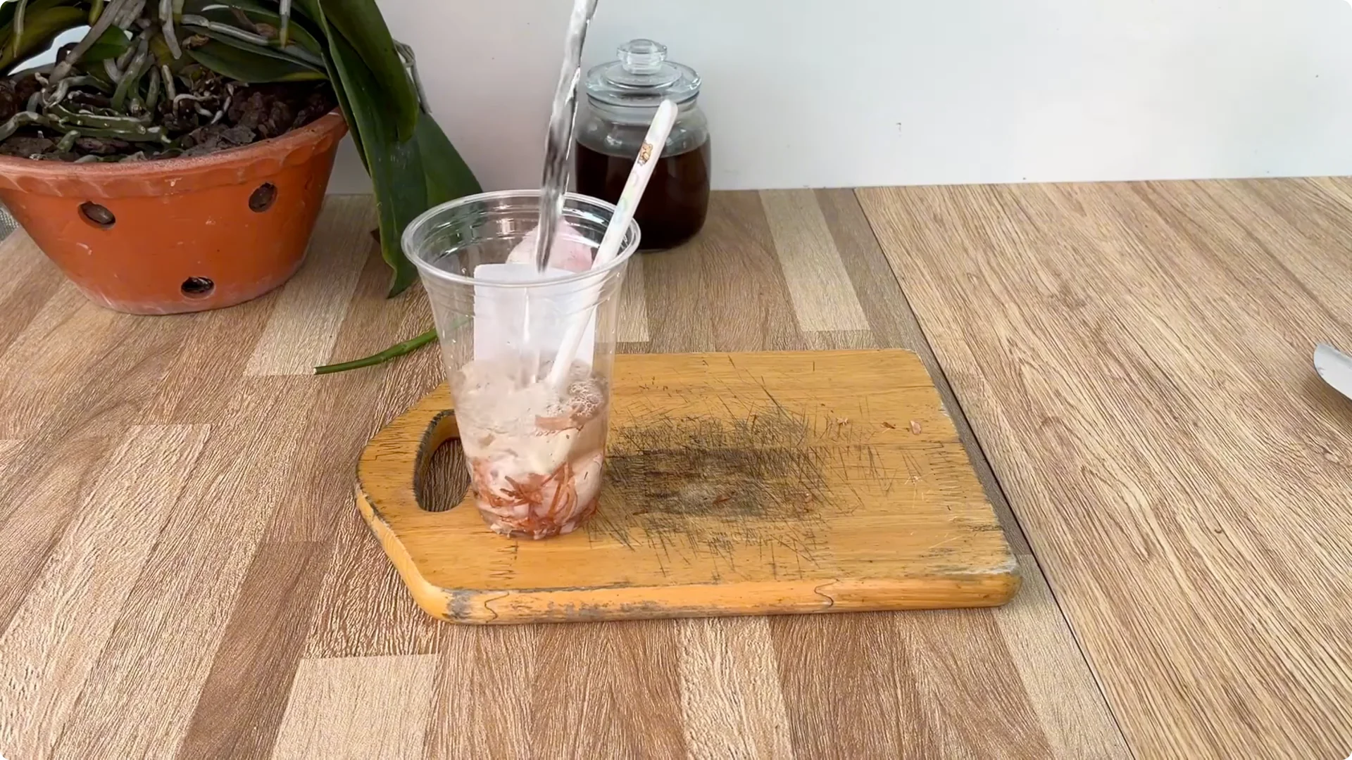 How One Spoon Helped This Rose Branch Root and Bloom screenshot 3