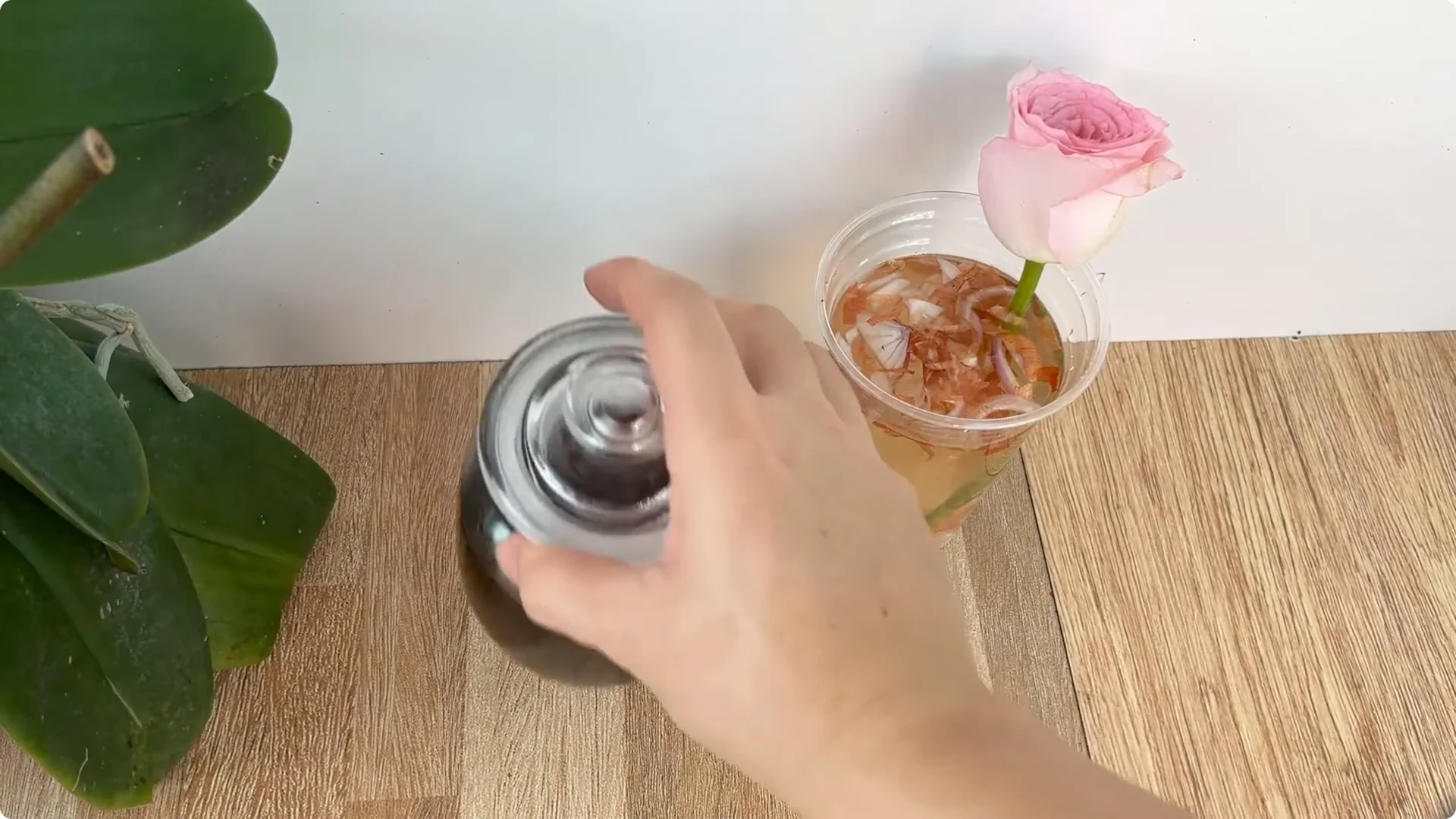 How One Spoon Helped This Rose Branch Root and Bloom screenshot 4