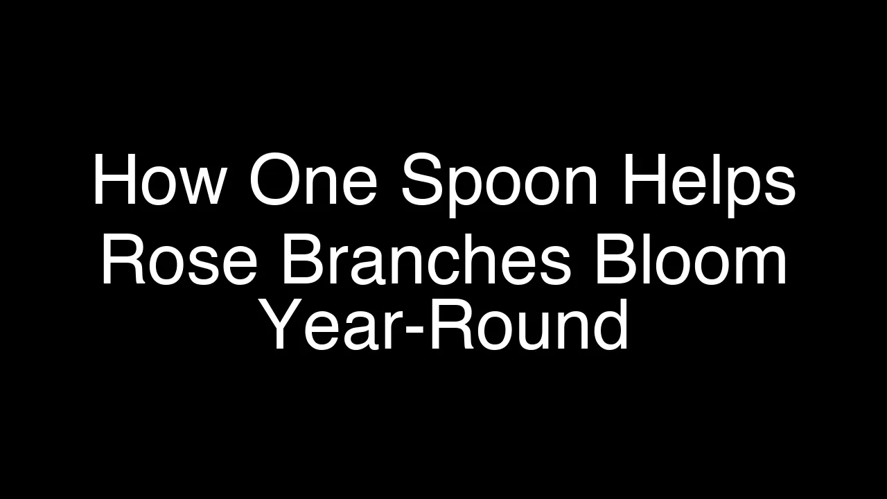 How One Spoon Helps Rose Branches Bloom Year-Round - Featured Image