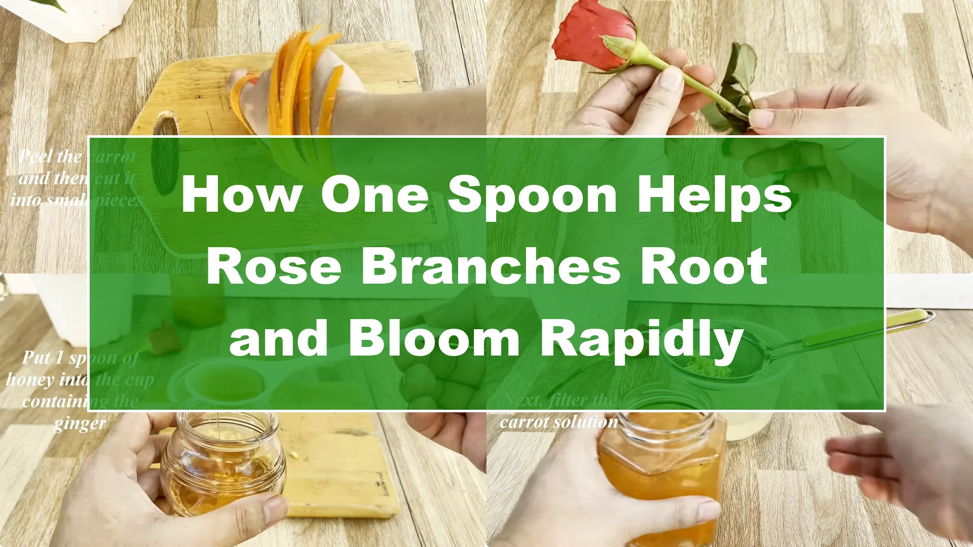 How One Spoon Helps Rose Branches Root and Bloom Rapidly - Featured Image