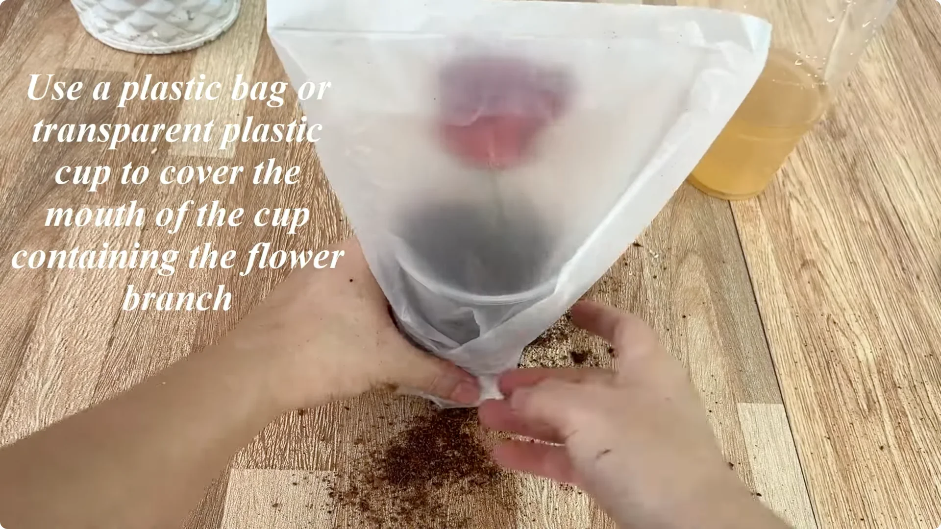 How One Spoon Transforms Your Rose Plant’s Roots and Blooms screenshot 11