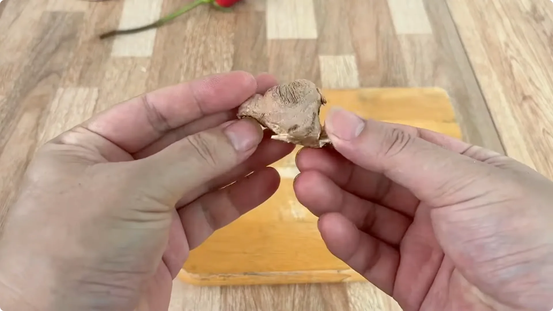 How One Spoon Transforms Your Rose Plant’s Roots and Blooms screenshot 3