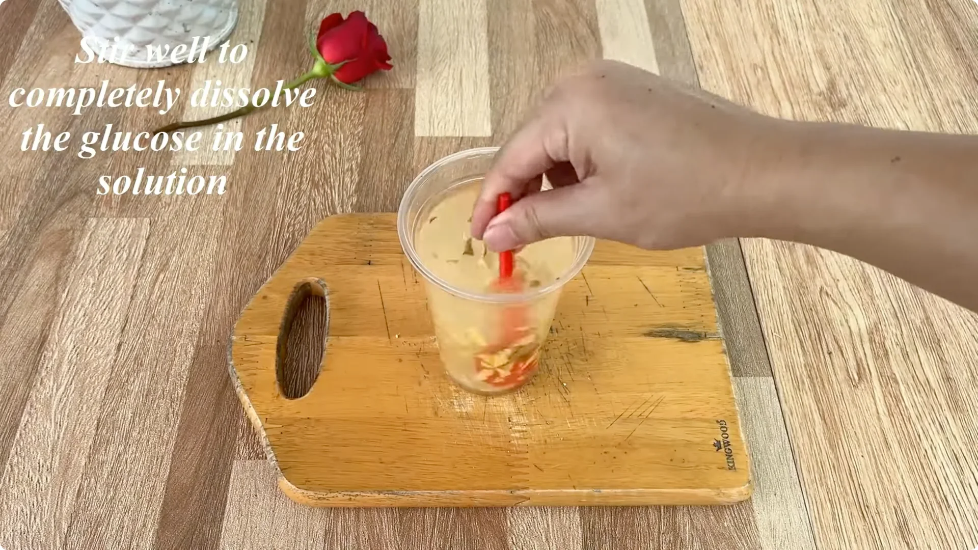 How One Spoon Transforms Your Rose Plant’s Roots and Blooms screenshot 5