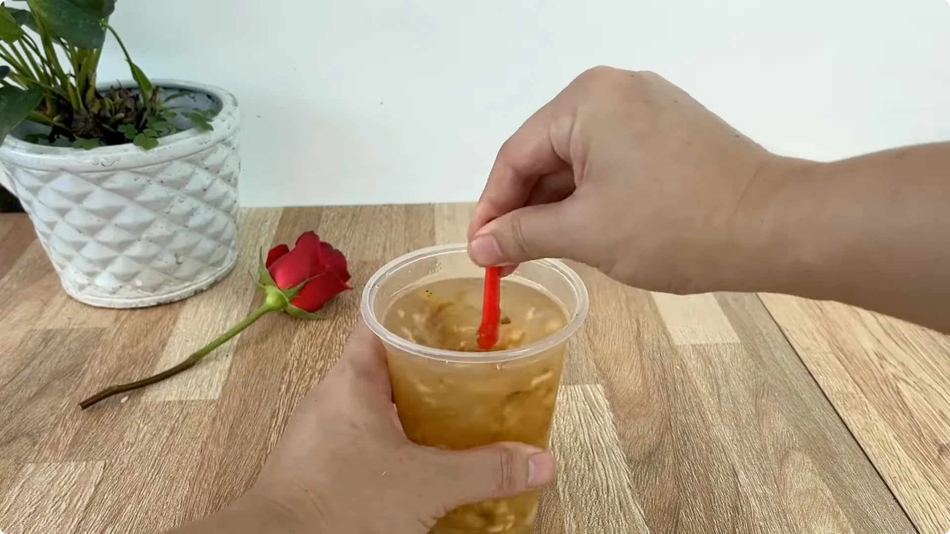 How One Spoon Transforms Your Rose Plant’s Roots and Blooms screenshot 7