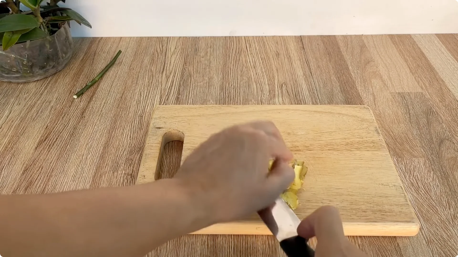 How One Spoonful Helps Rose Branches Root and Bloom More screenshot 2