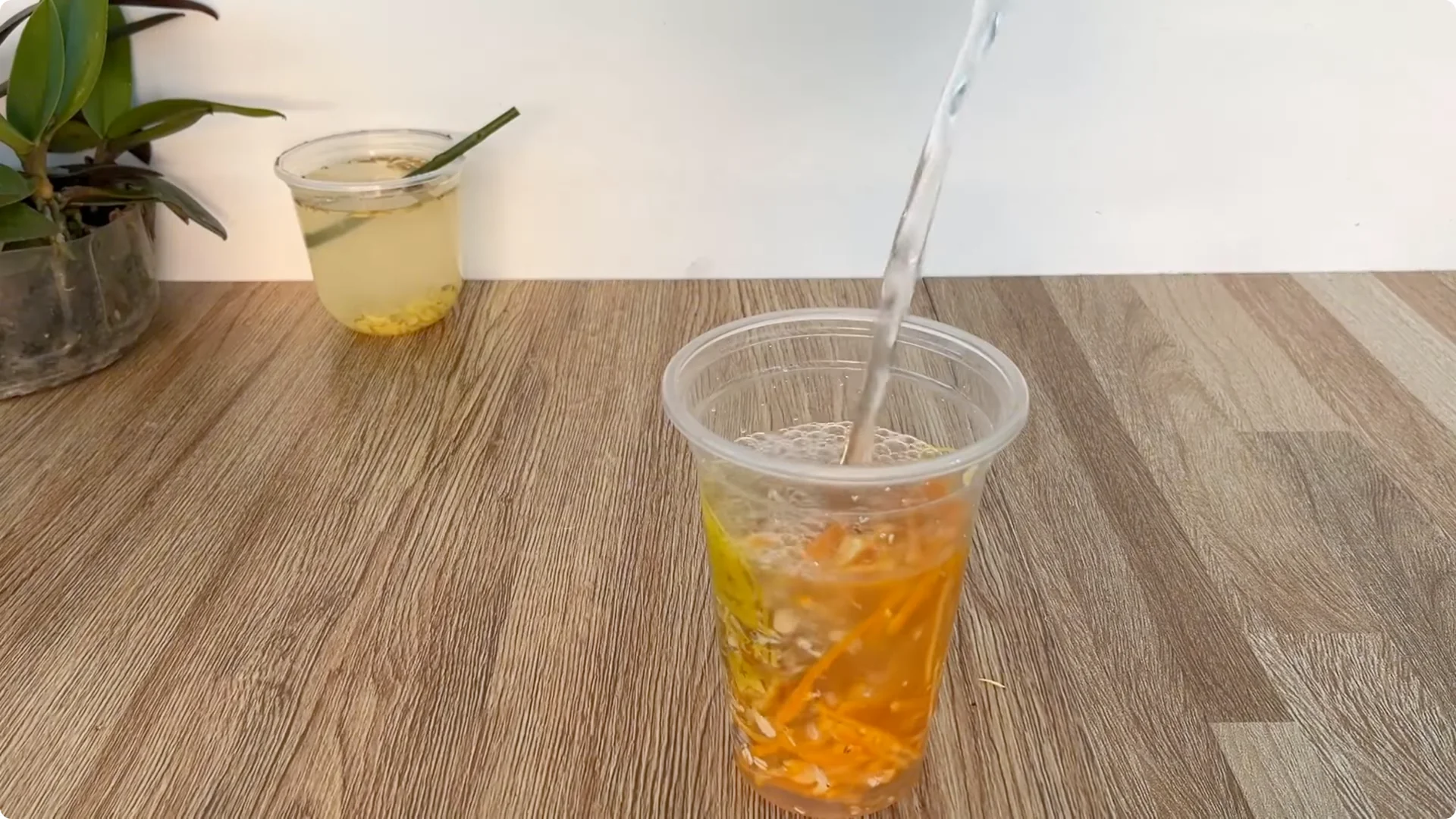 How One Spoonful Helps Rose Branches Root and Bloom More screenshot 3