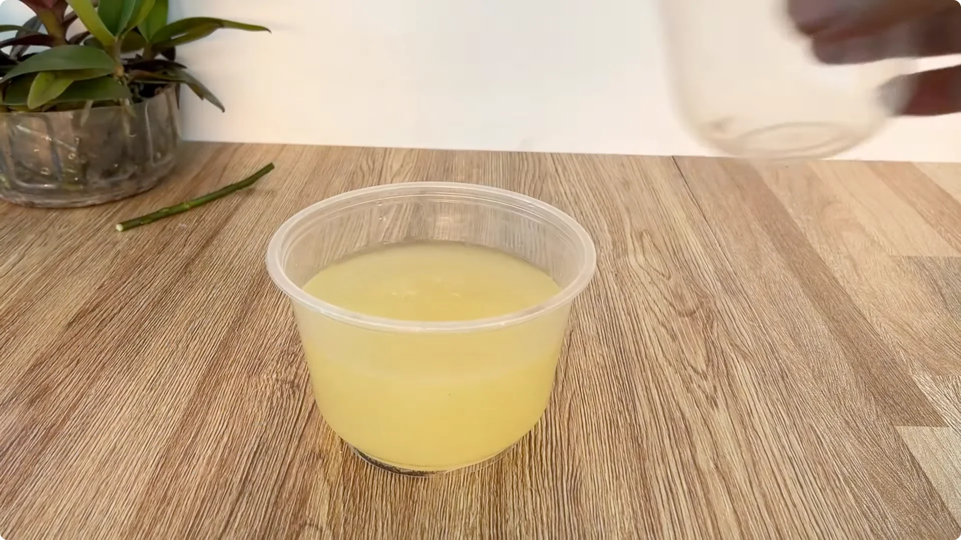 How One Spoonful Helps Rose Branches Root and Bloom More screenshot 5