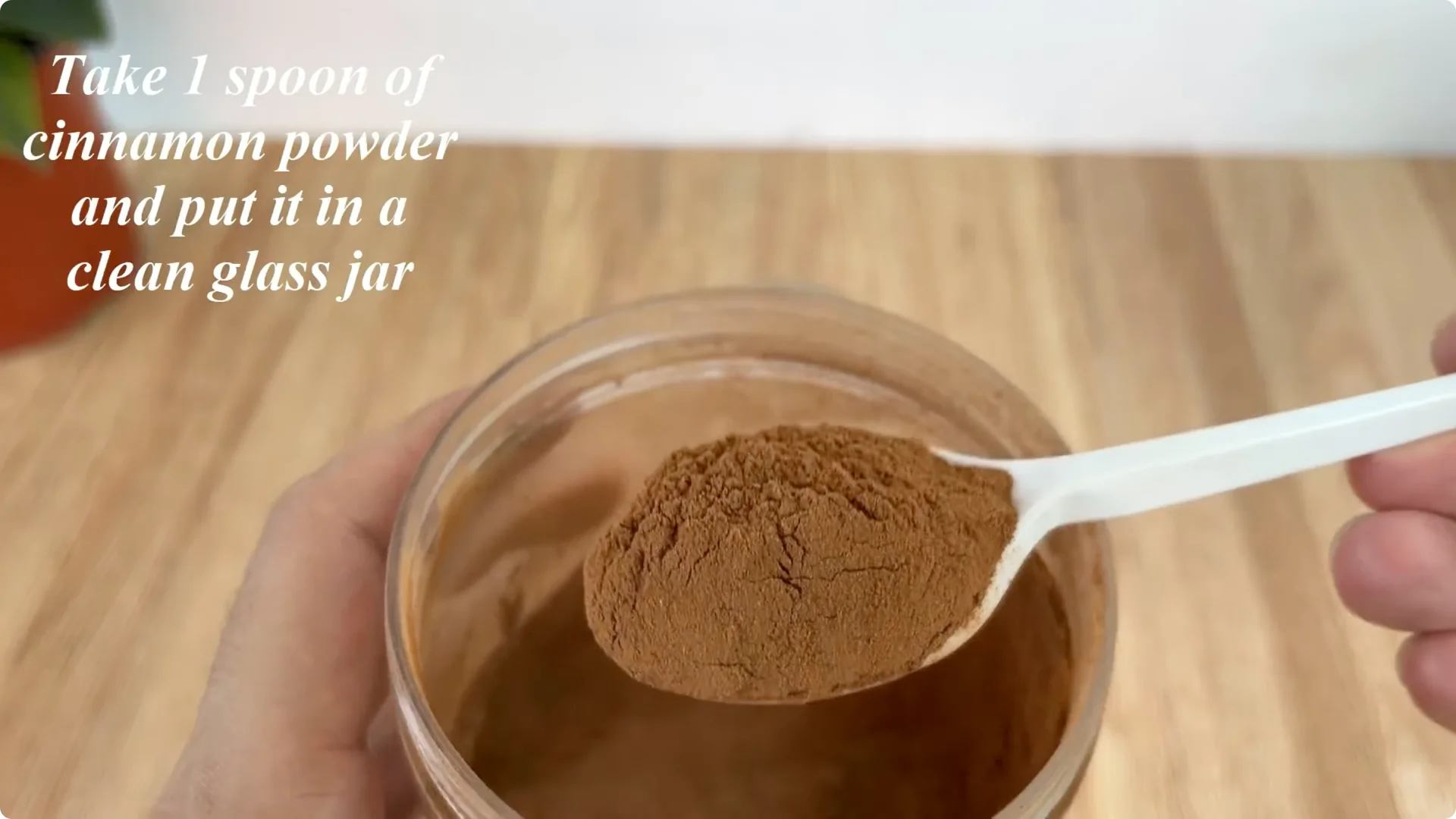 How One Spoonful Helps Rose Branches Root and Bloom Year-Round screenshot 2