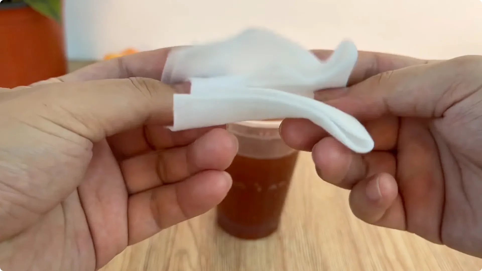 How One Spoonful Helps Rose Branches Root and Bloom Year-Round screenshot 4