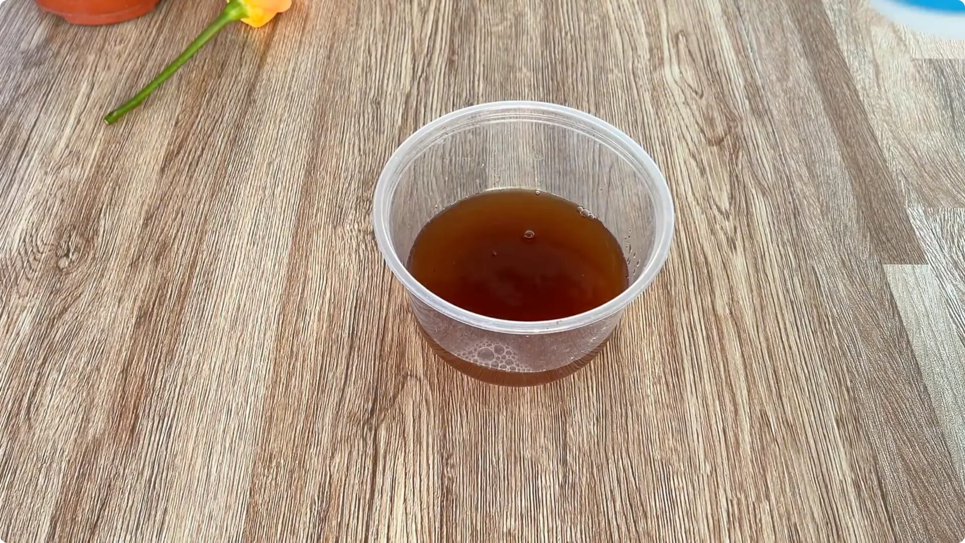 How One Spoonful Helps Rose Branches Root and Bloom Year-Round screenshot 6