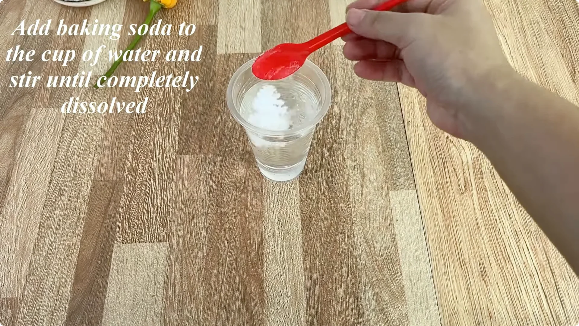 How One Sprinkle Makes Rose Branches Root and Bloom Effortlessly screenshot 2