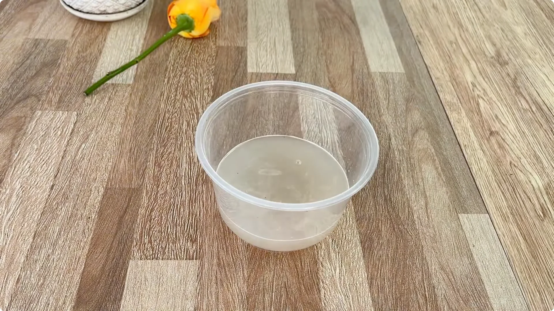 How One Sprinkle Makes Rose Branches Root and Bloom Effortlessly screenshot 3