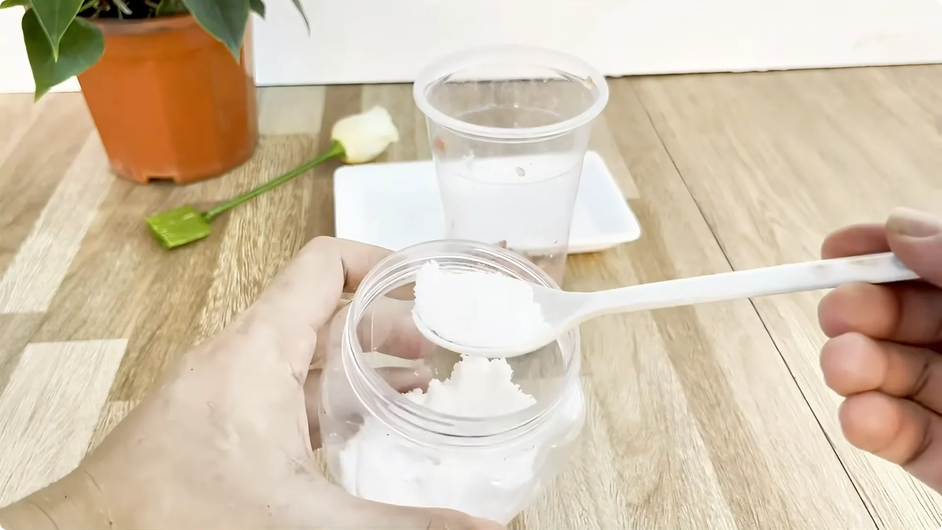 How One Thin Rose Slice Sparks Year-Round Blooms screenshot 4