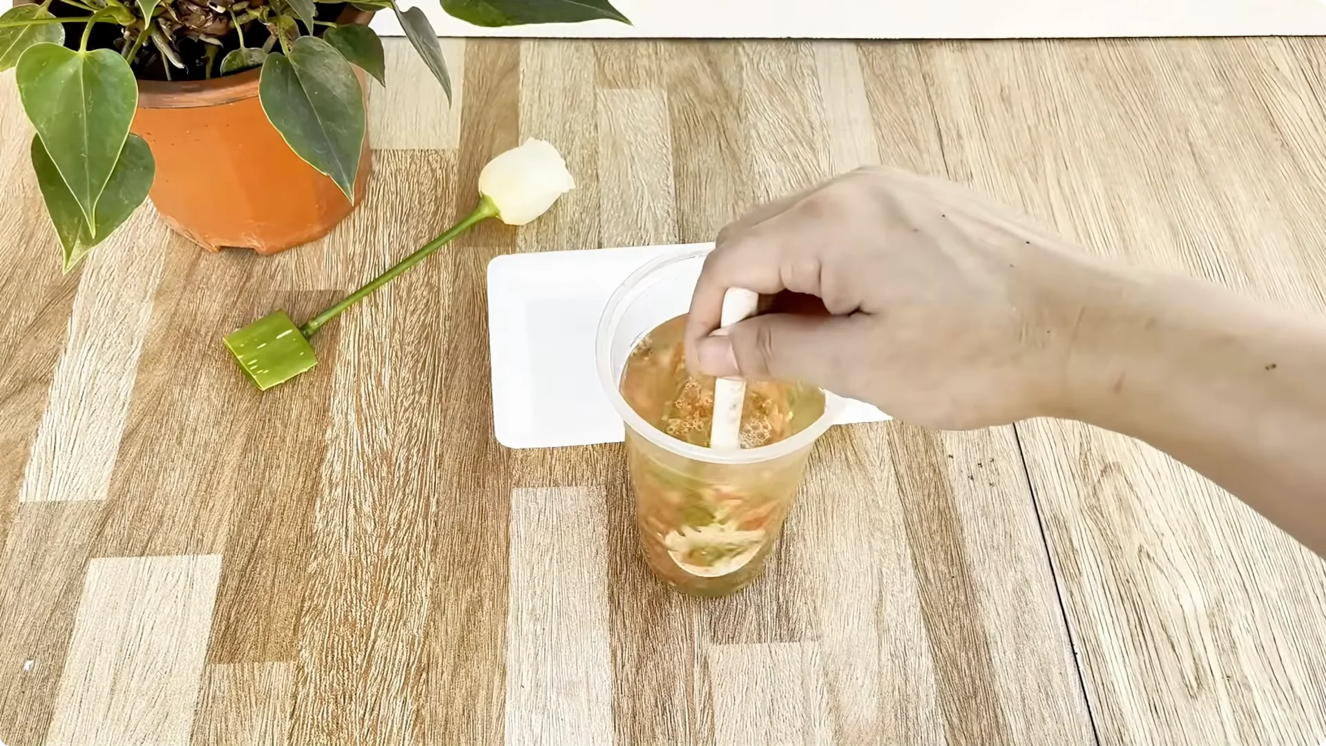 How One Thin Rose Slice Sparks Year-Round Blooms screenshot 5