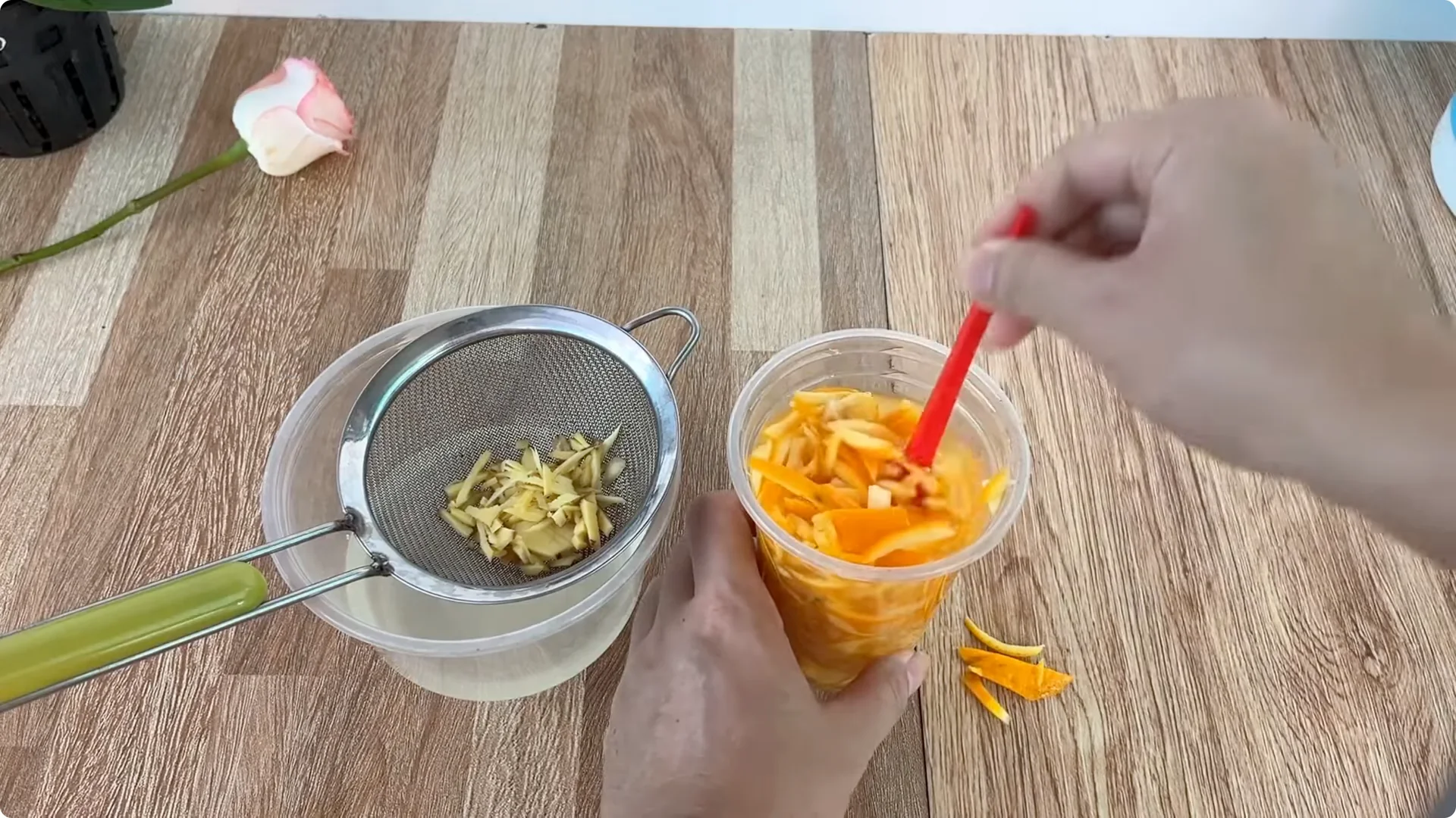 How One Thin Rose Slice Took Root and Bud Overnight screenshot 11