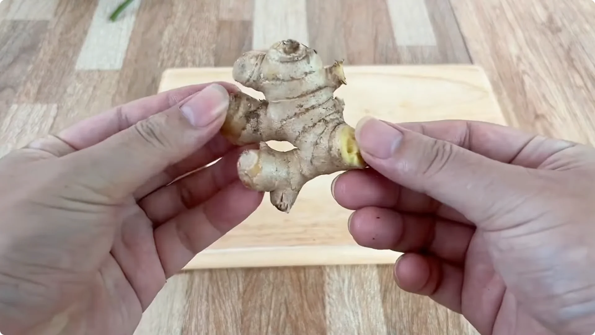 How One Thin Rose Slice Took Root and Bud Overnight screenshot 3