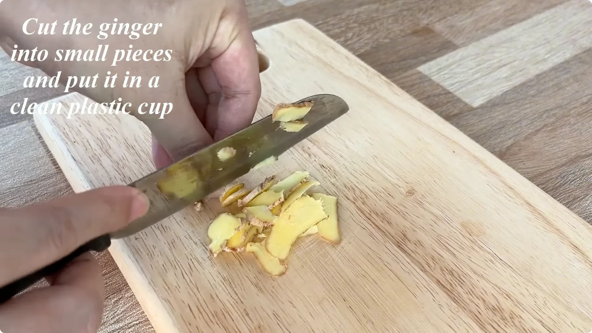 How One Thin Rose Slice Took Root and Bud Overnight screenshot 4