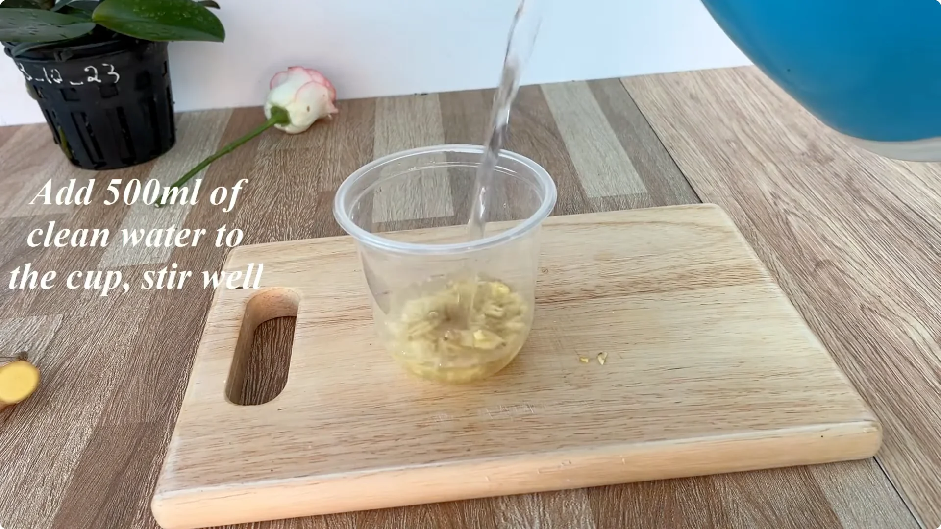 How One Thin Rose Slice Took Root and Bud Overnight screenshot 5