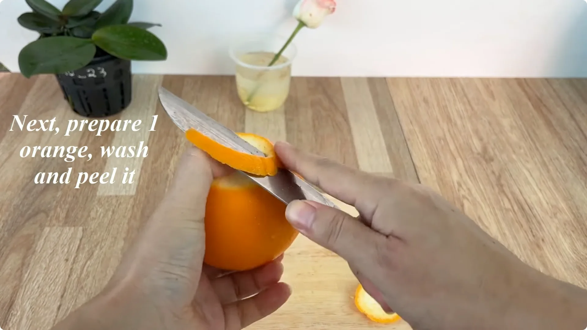 How One Thin Rose Slice Took Root and Bud Overnight screenshot 7