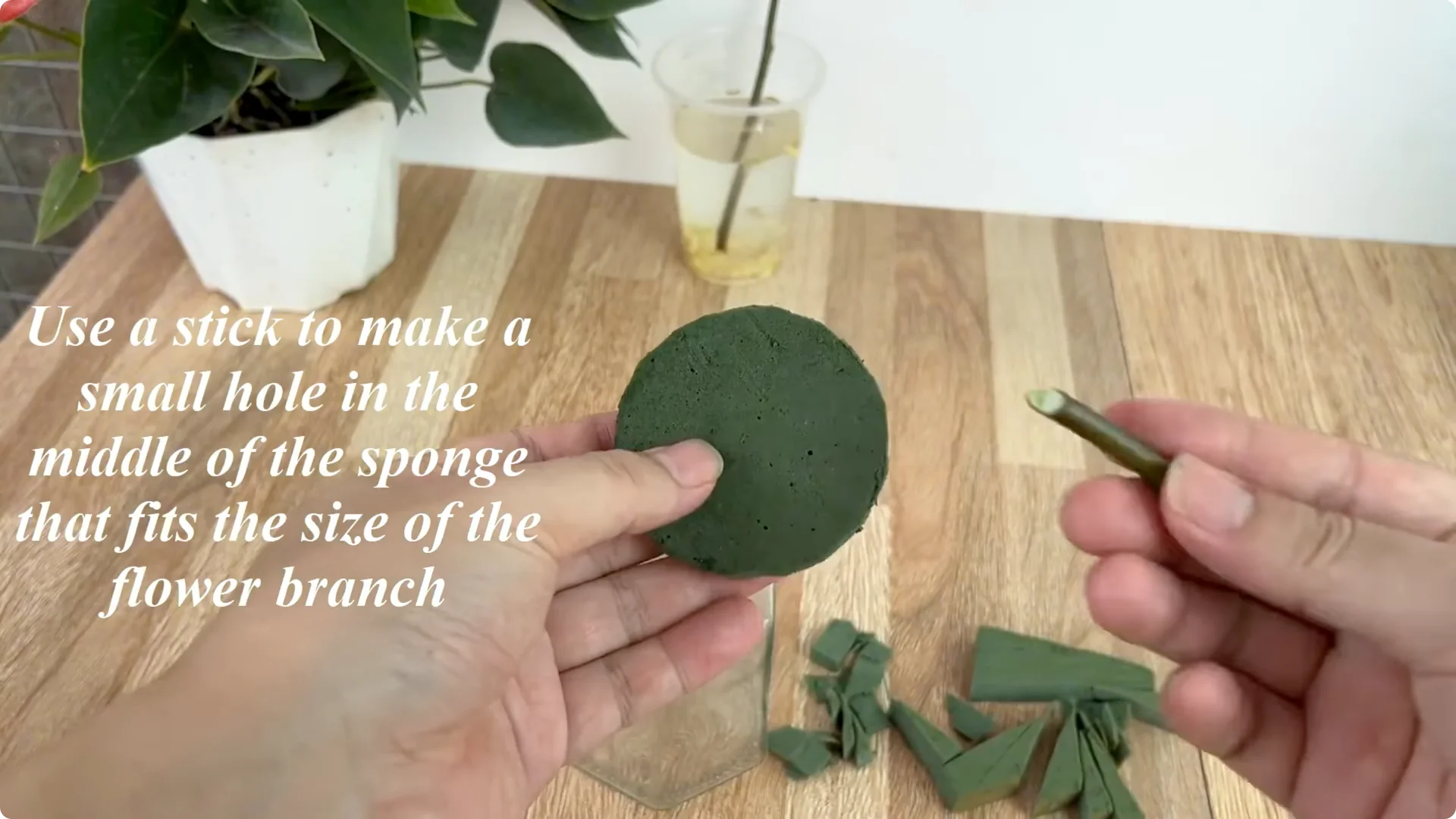 How One Thin Slice Made the Rose Branch Root and Bud Overnight screenshot 3