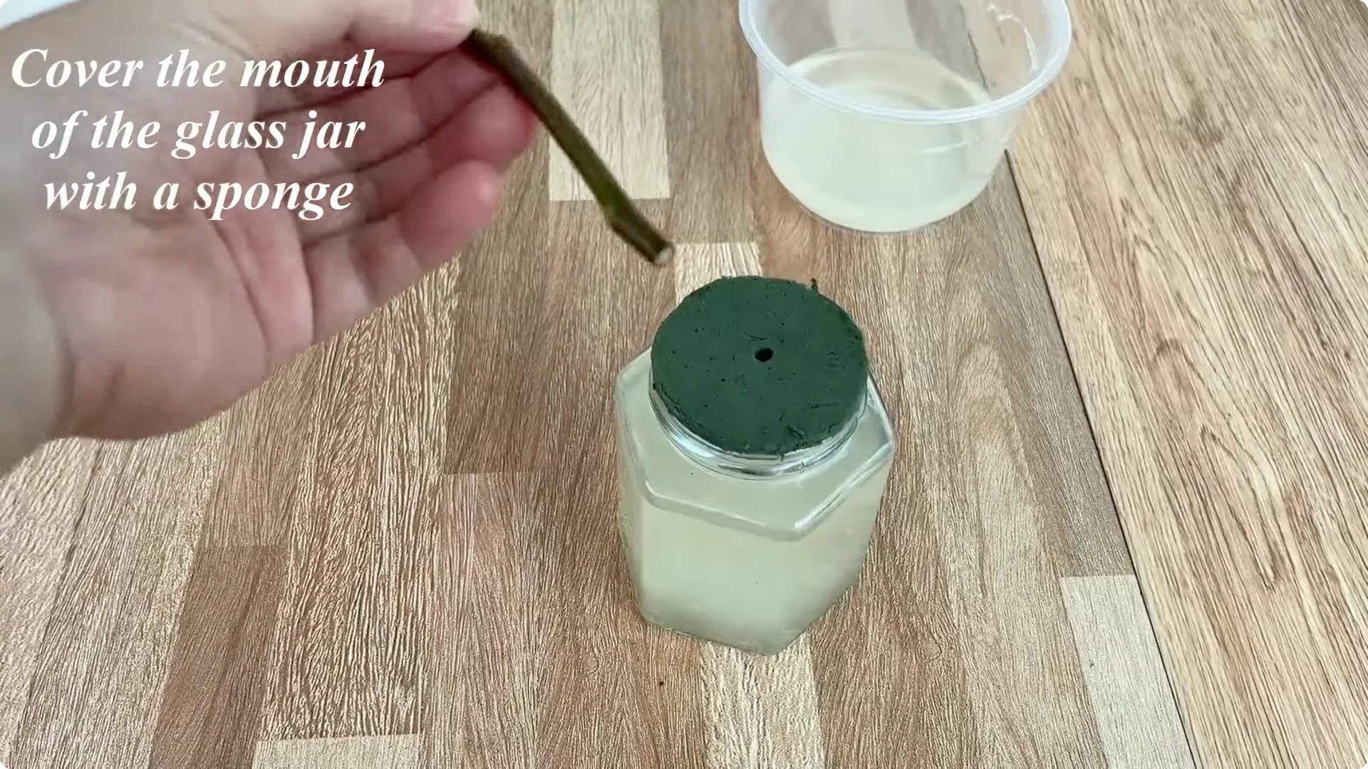 How One Thin Slice Made the Rose Branch Root and Bud Overnight screenshot 5