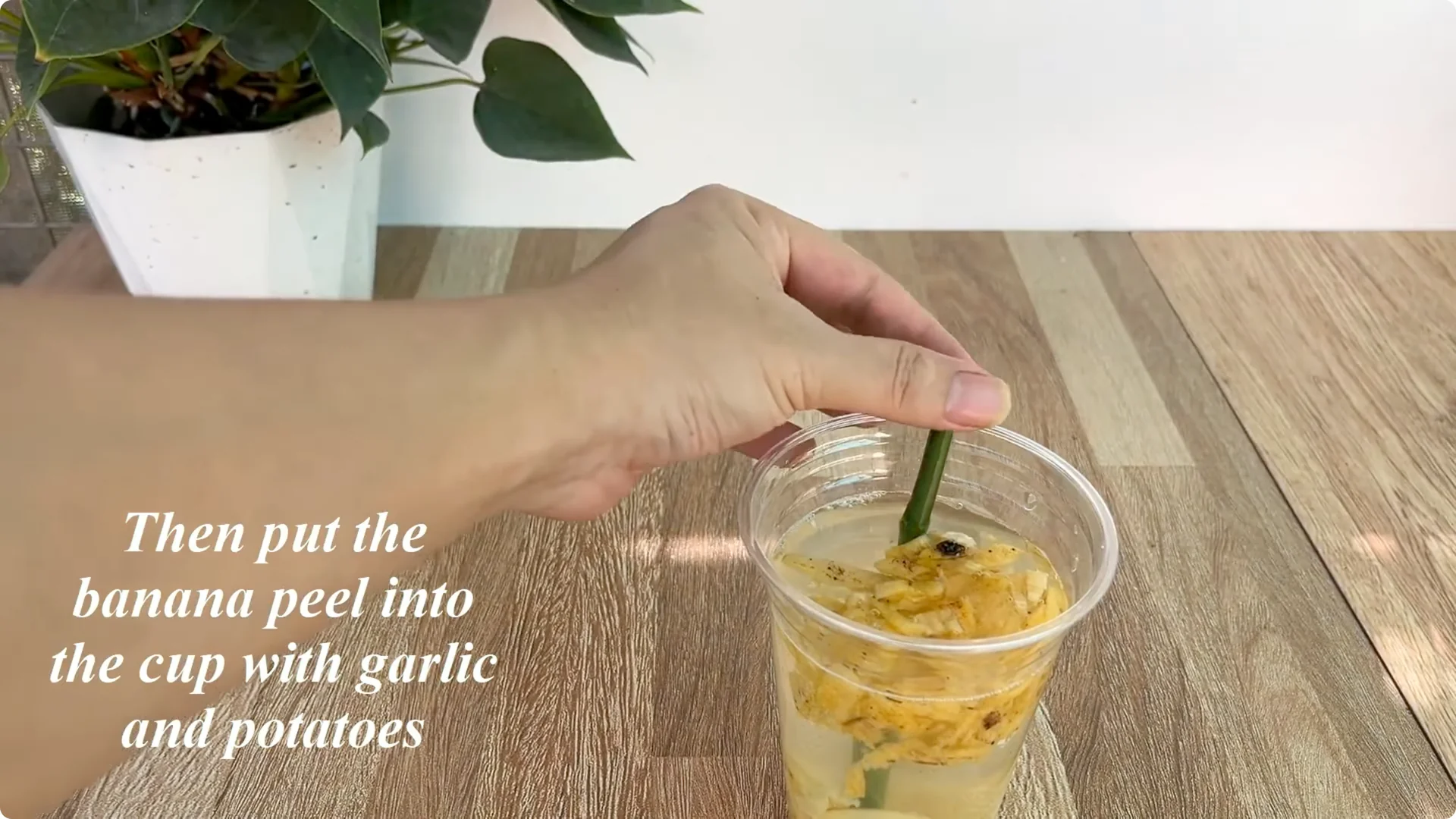 How This Simple Trick Helps Rose Stems Grow More Flowers screenshot 5