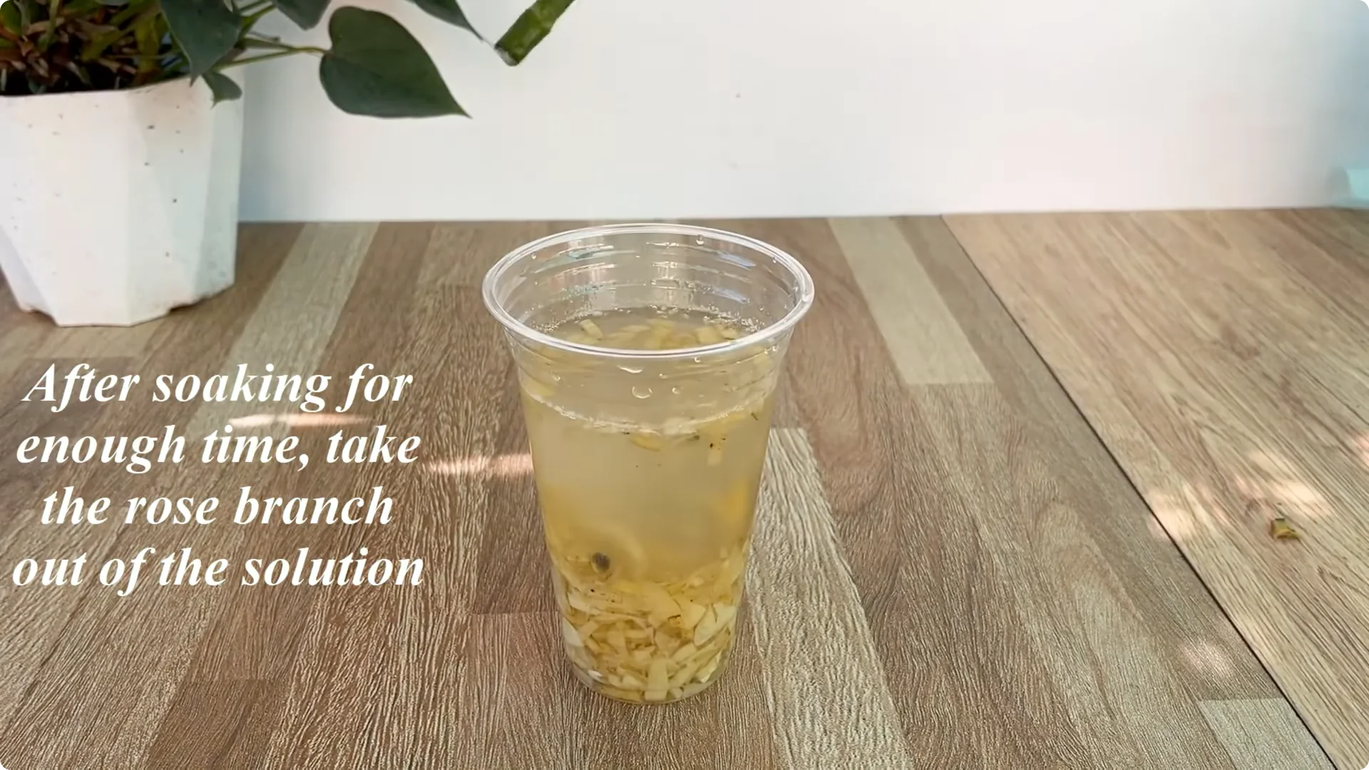 How This Simple Trick Helps Rose Stems Grow More Flowers screenshot 6