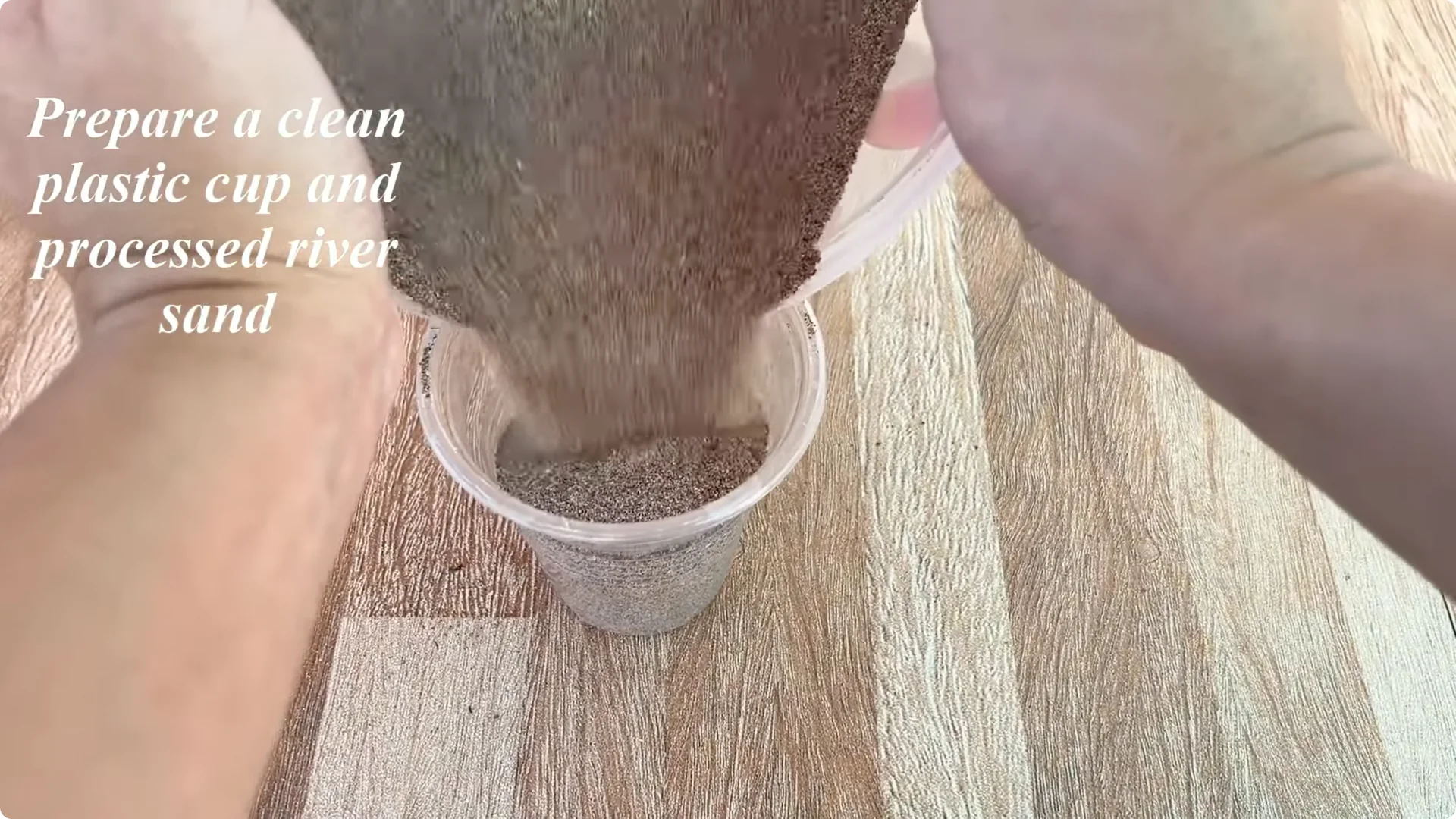 How This Simple Trick Helps Rose Stems Grow More Flowers screenshot 8