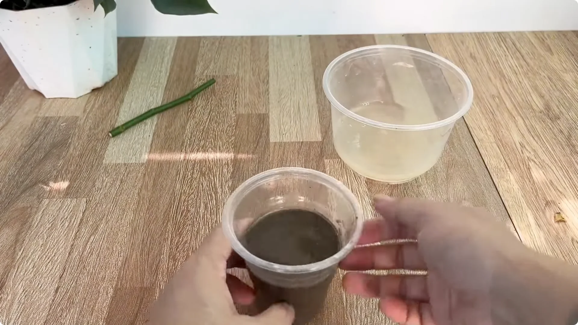 How This Simple Trick Helps Rose Stems Grow More Flowers screenshot 9