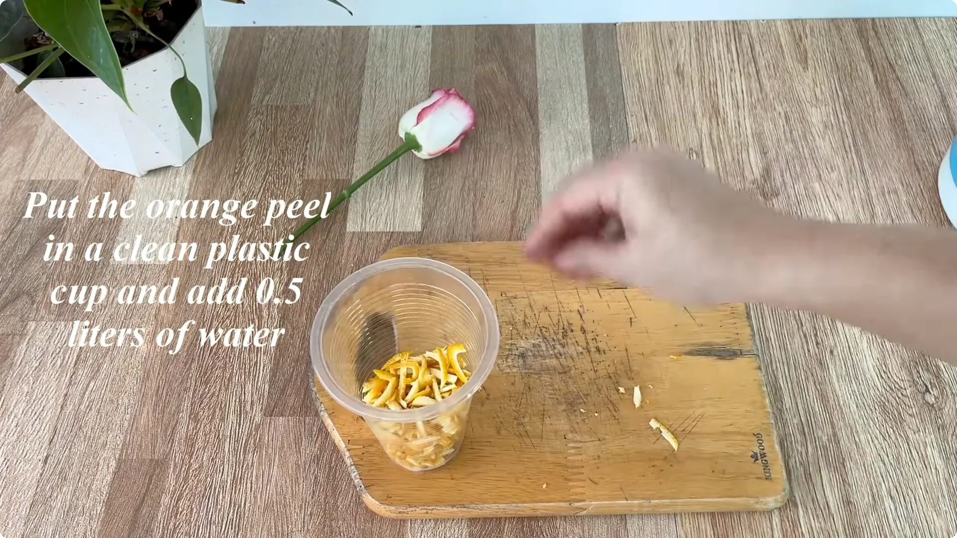 How This Simple Trick Helps Rose Stems Root Stronger screenshot 2