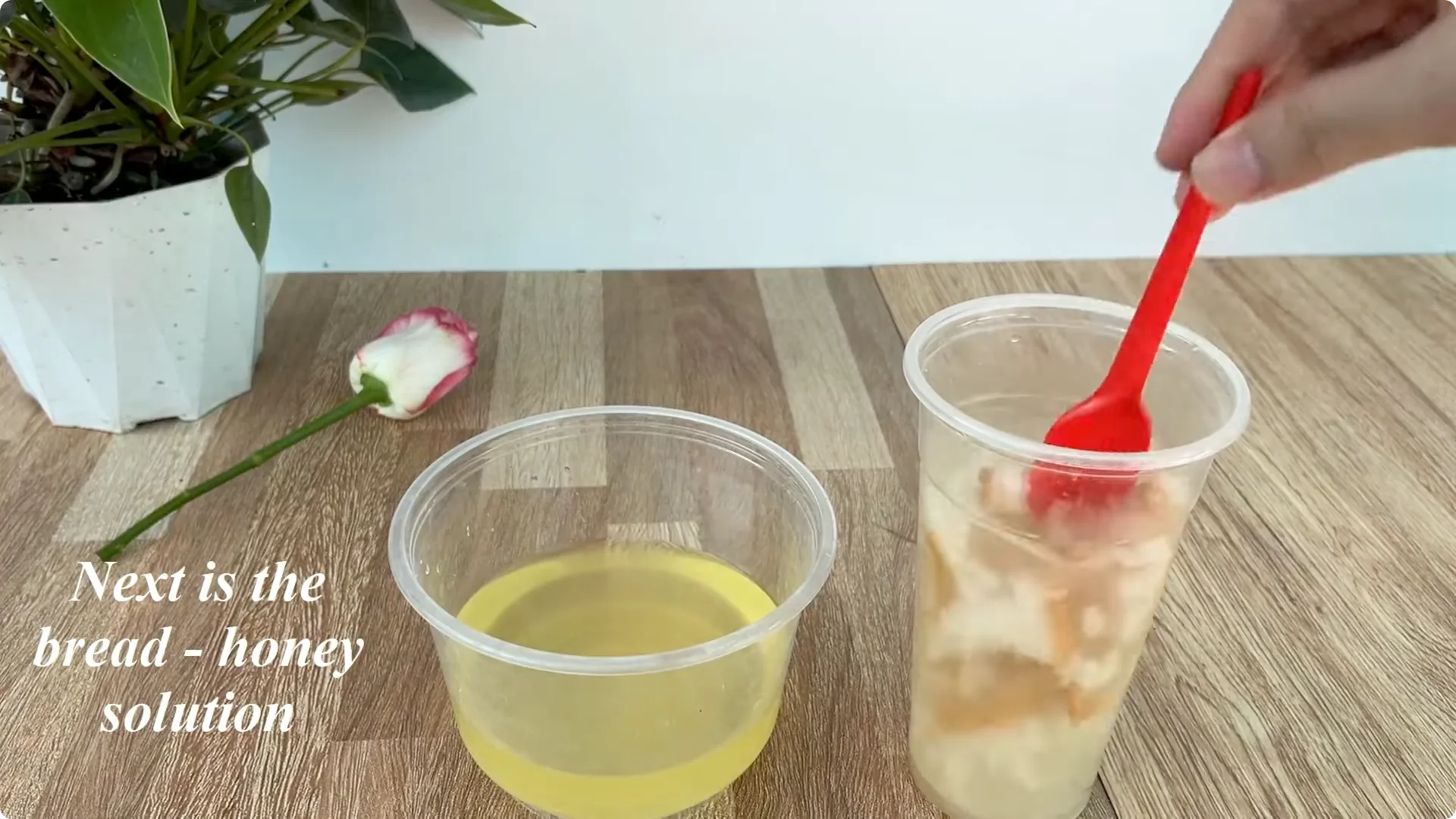 How This Simple Trick Helps Rose Stems Root Stronger screenshot 4