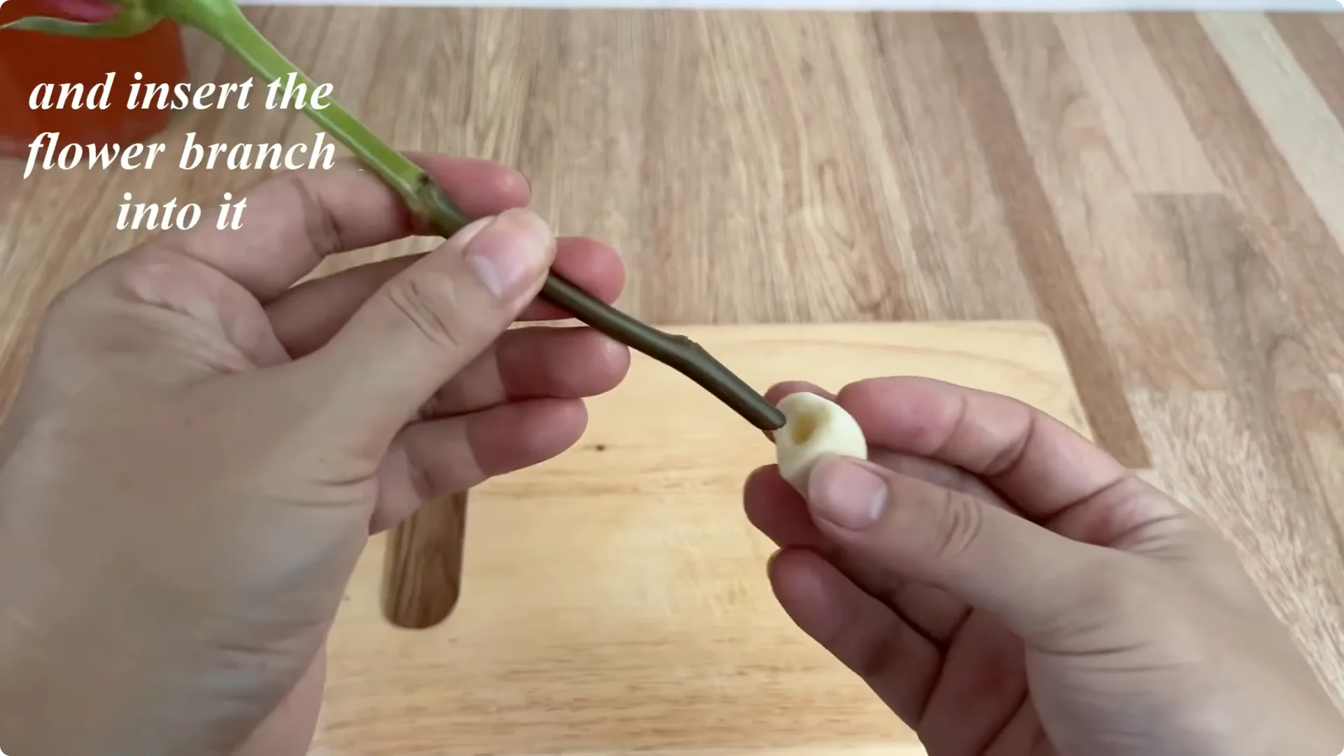 How This Simple Trick Helps Roses Root and Bloom Forever screenshot 3