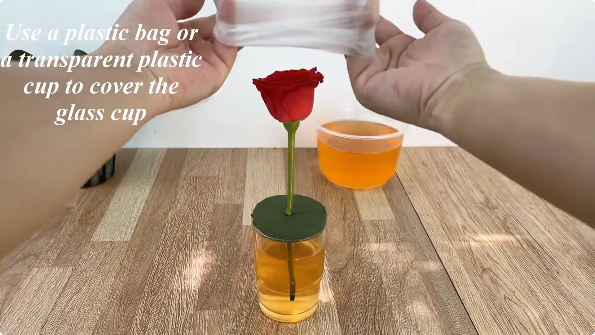 How This Simple Water Trick Grows 1001 Rose Roots Instantly screenshot 9