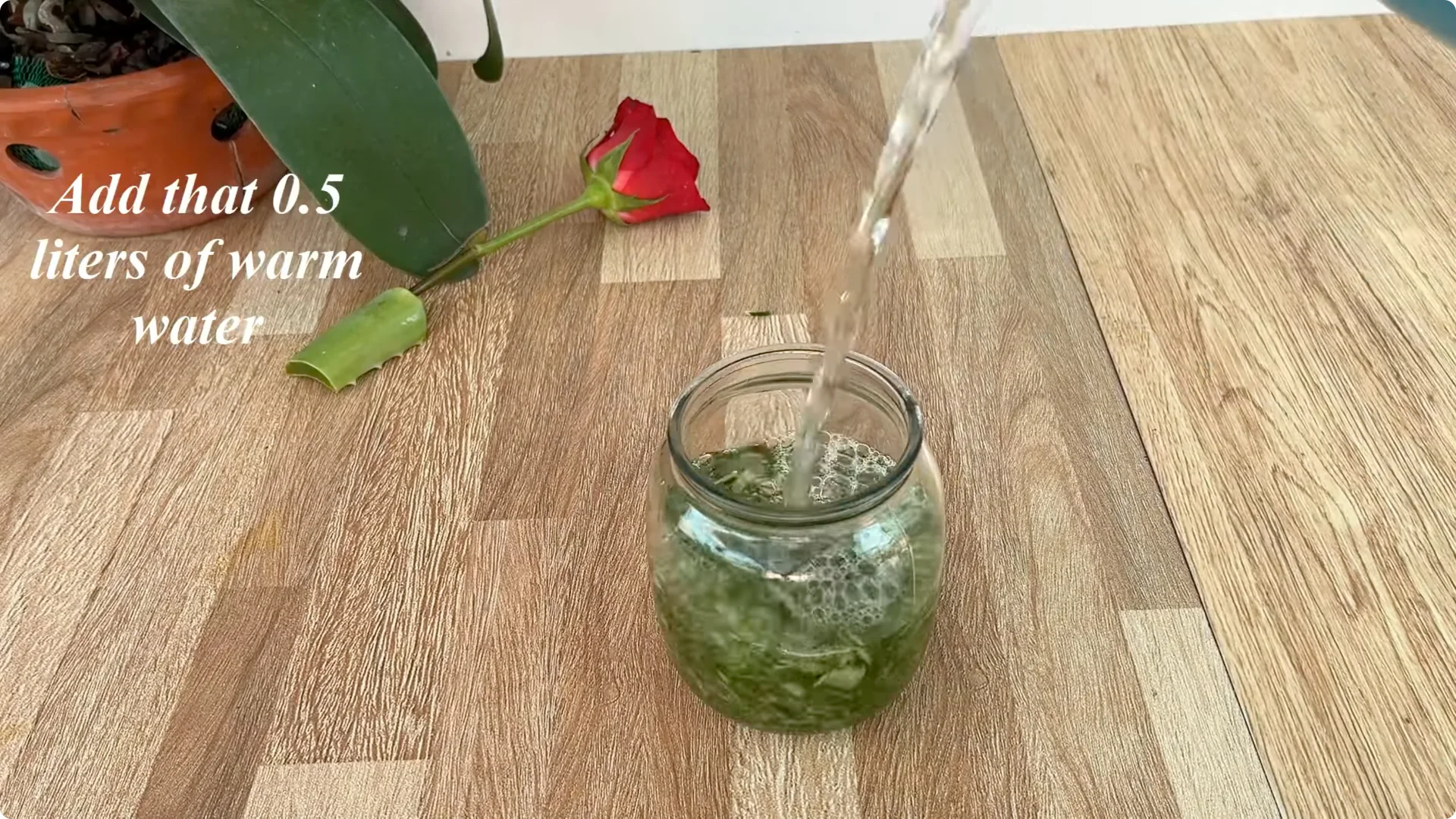 How This Trick Helps Rose Stems Root and Bloom Year-Round screenshot 3