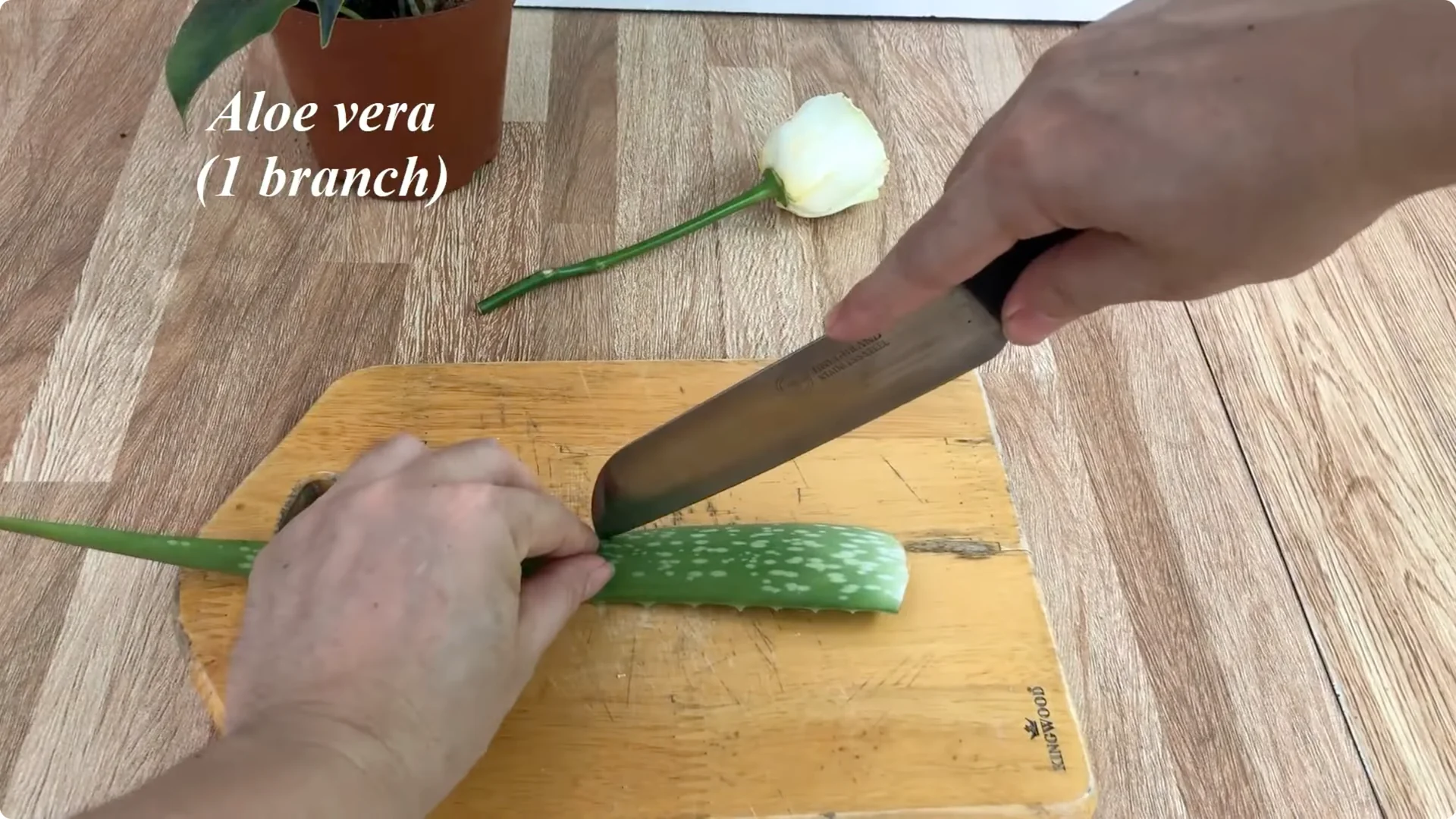 How to Easily Propagate All Types of Roses at Home screenshot 3