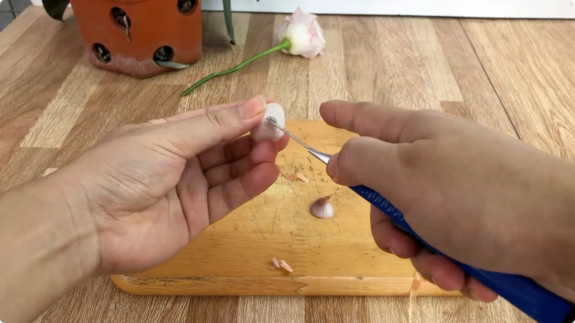 How to Easily Propagate All Types of Roses at Home screenshot 7