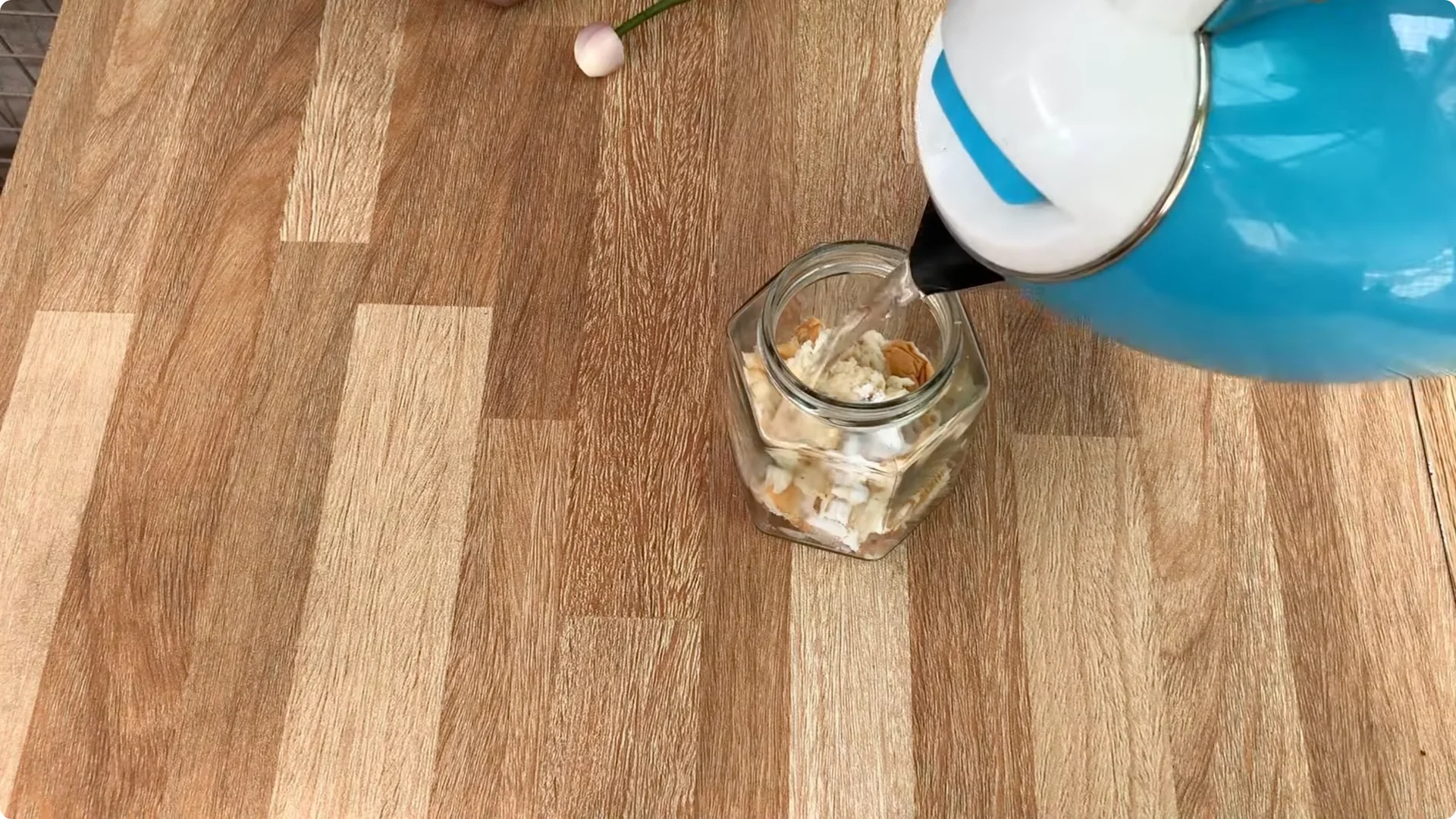 How to Easily Propagate All Types of Roses at Home screenshot 8