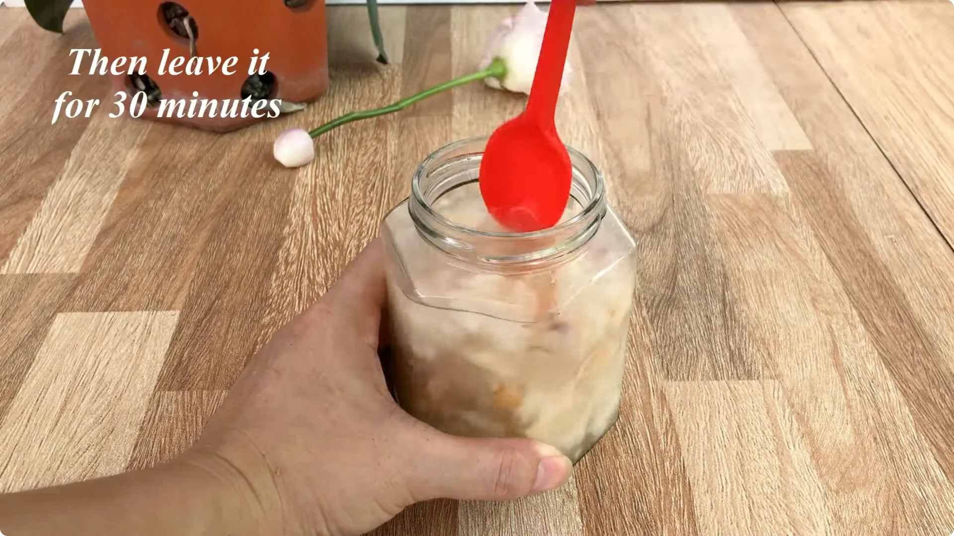 How to Easily Propagate All Types of Roses at Home screenshot 9