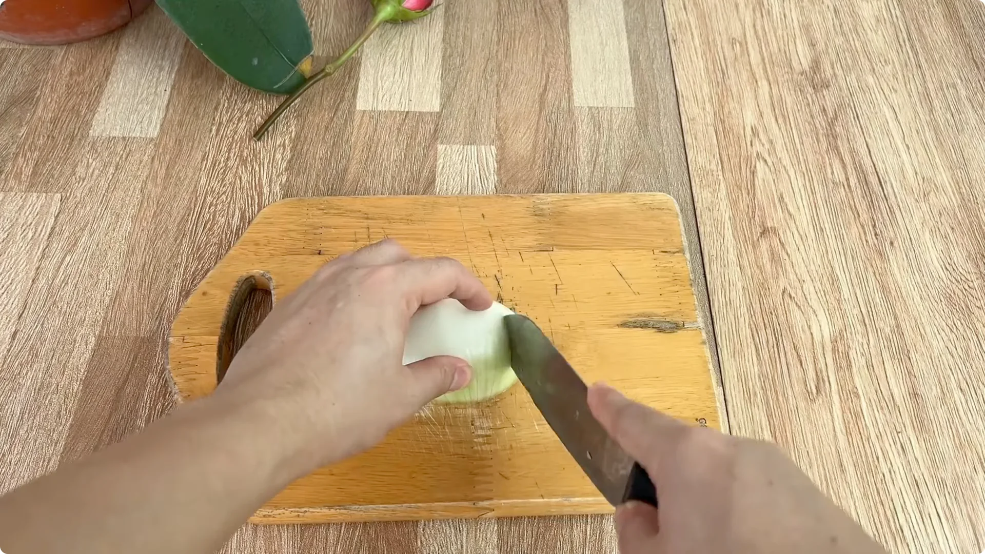 How to Help Rose Branches Root and Bloom Abundantly screenshot 2