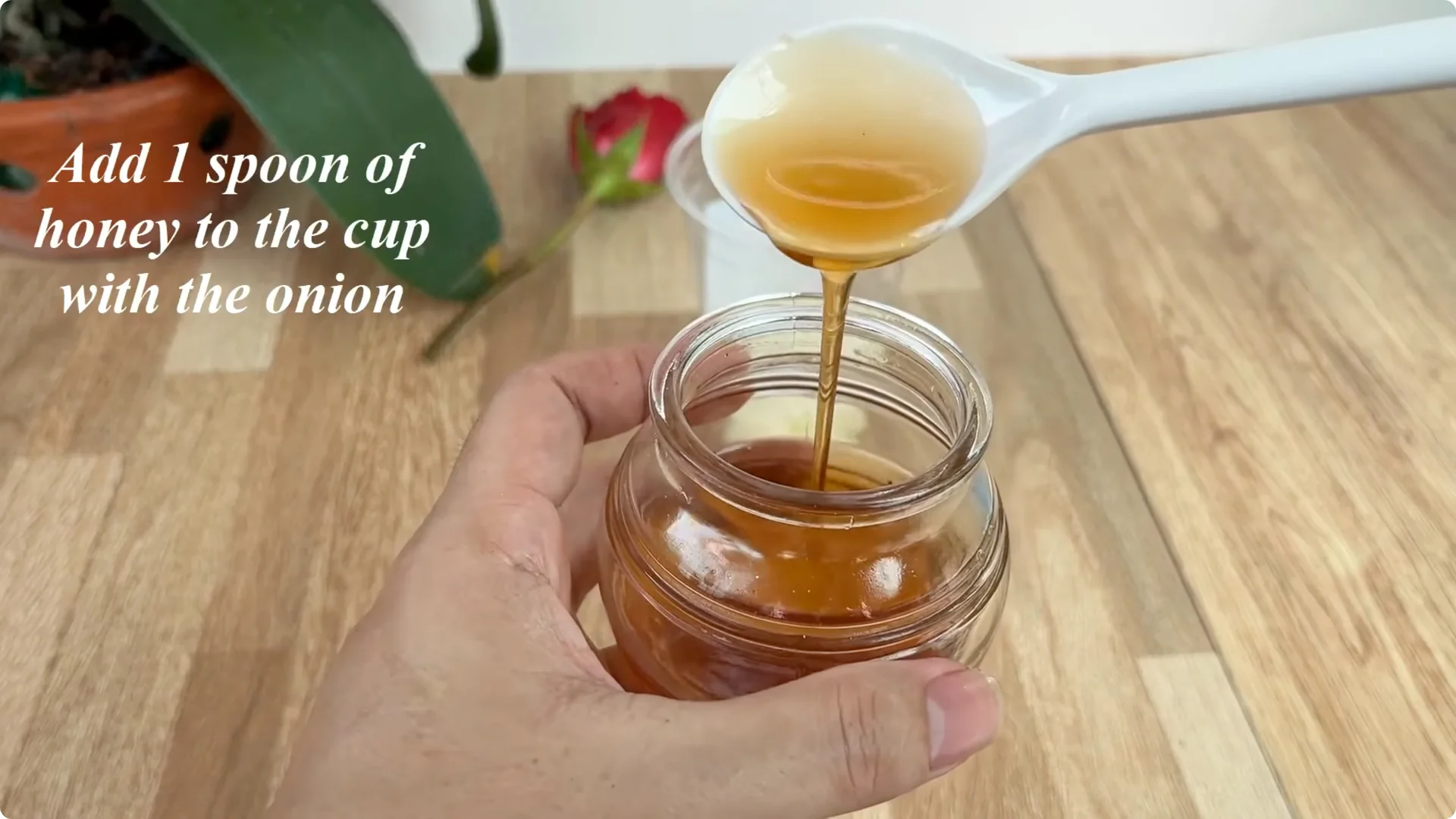 How to Help Rose Branches Root and Bloom Abundantly screenshot 3