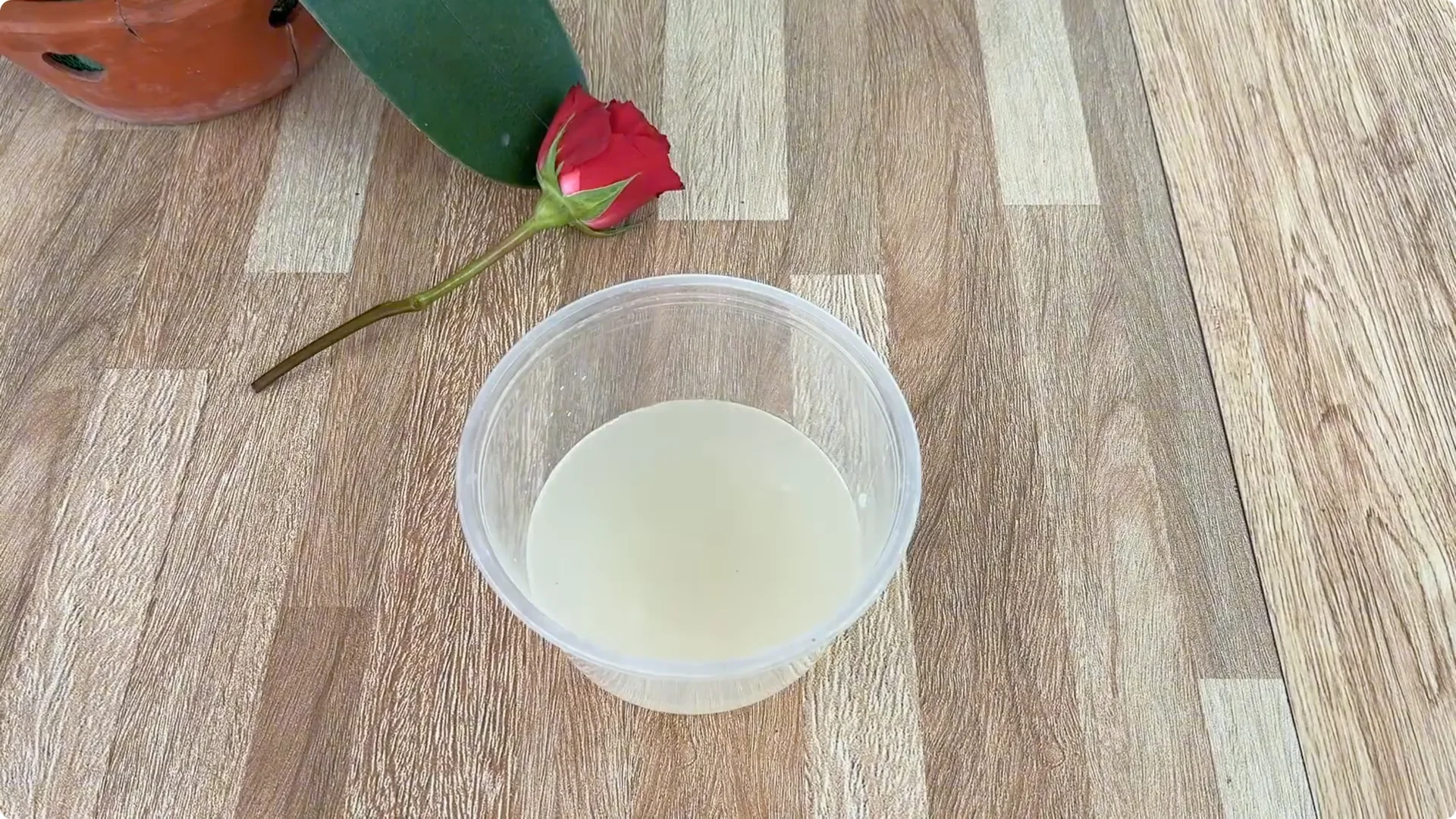 How to Help Rose Branches Root and Bloom Abundantly screenshot 5