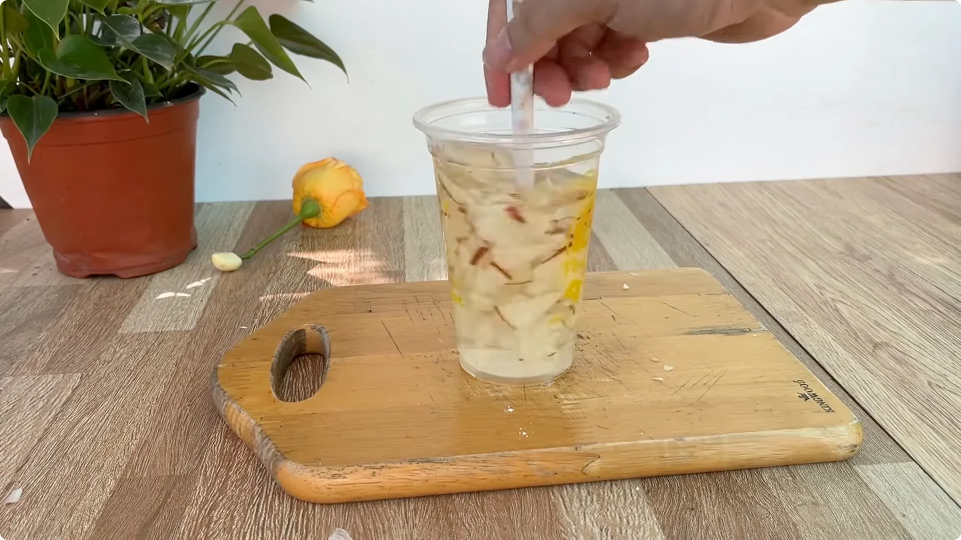 How to Help Rose Branches Root and Bloom Better Than Ever screenshot 10