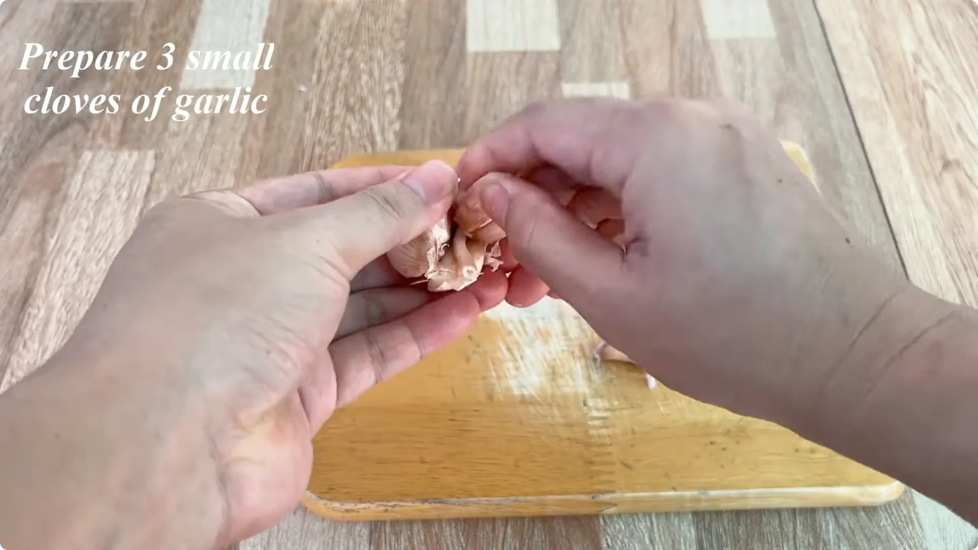 How to Help Rose Branches Root and Bloom Better Than Ever screenshot 4