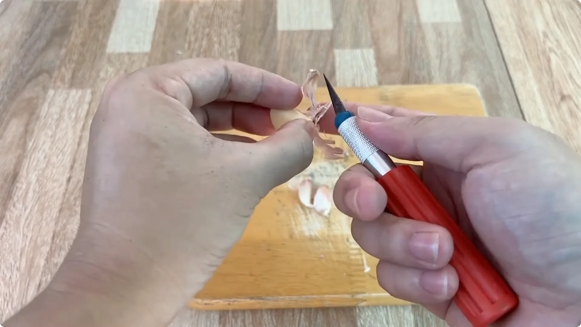 How to Help Rose Branches Root and Bloom Better Than Ever screenshot 5