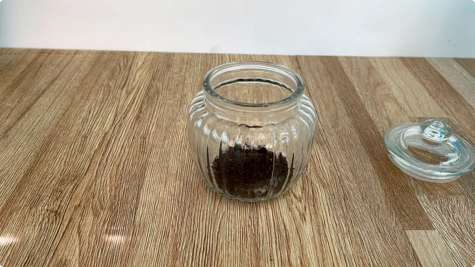 How to Propagate Roses Easily at Home screenshot 1