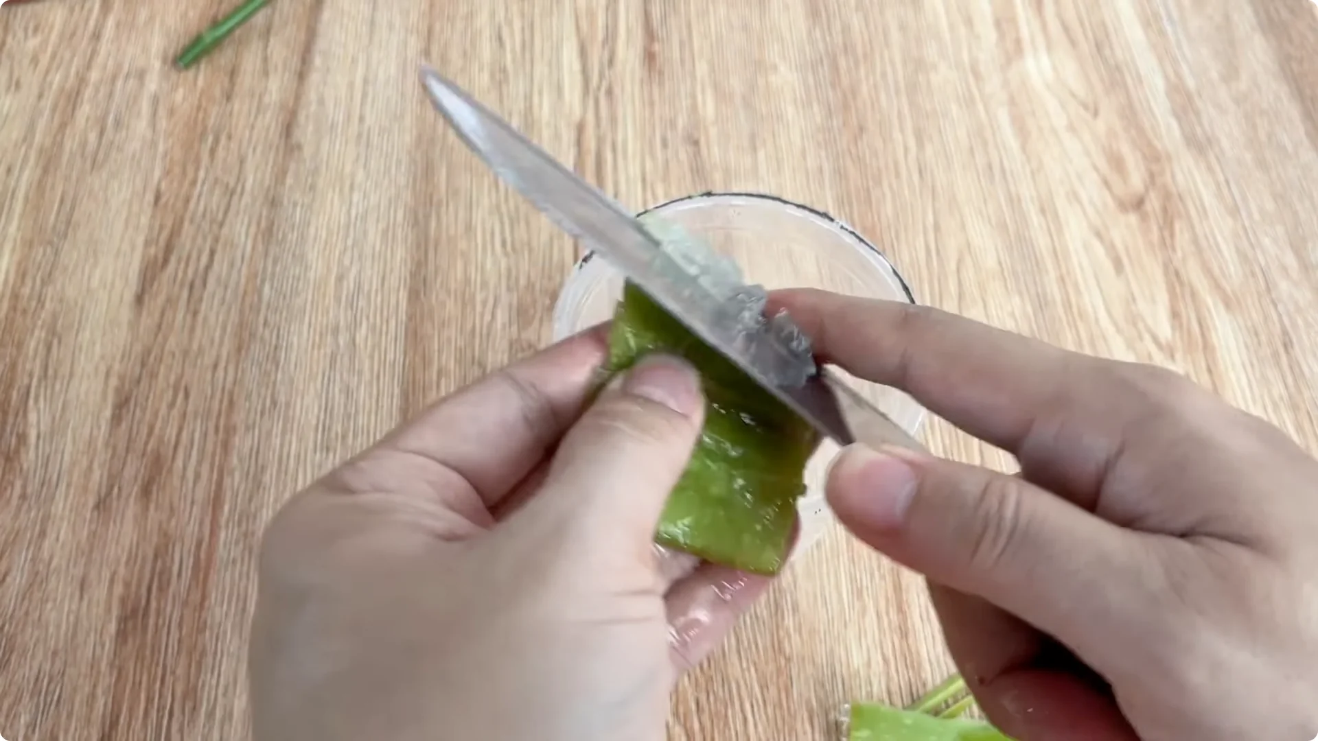 How to Propagate Roses with Coca: 3 Easy Steps Explained screenshot 3